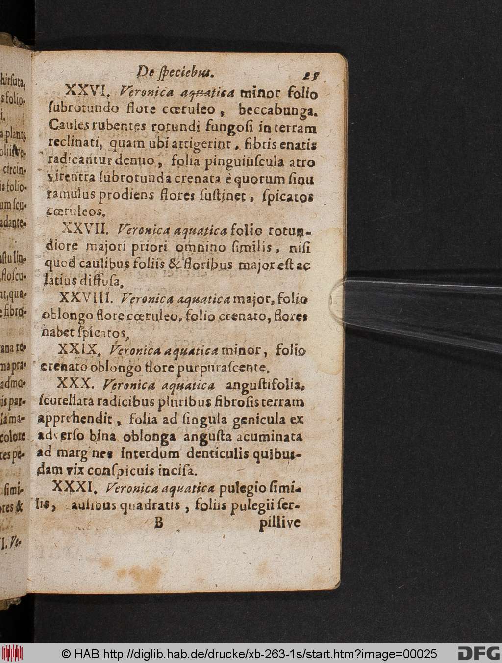 http://diglib.hab.de/drucke/xb-263-1s/00025.jpg