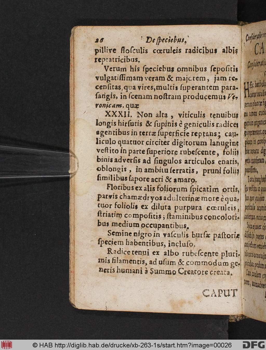 http://diglib.hab.de/drucke/xb-263-1s/00026.jpg
