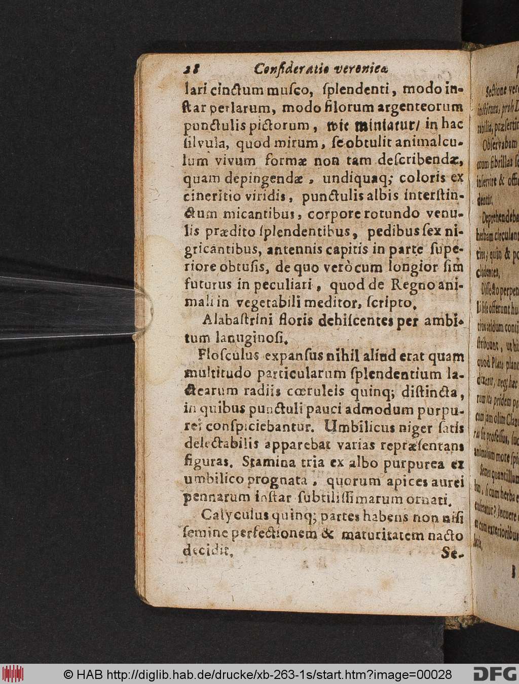 http://diglib.hab.de/drucke/xb-263-1s/00028.jpg