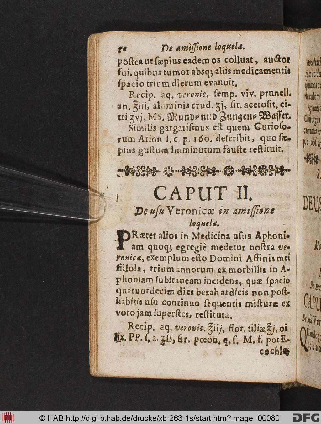 http://diglib.hab.de/drucke/xb-263-1s/00080.jpg