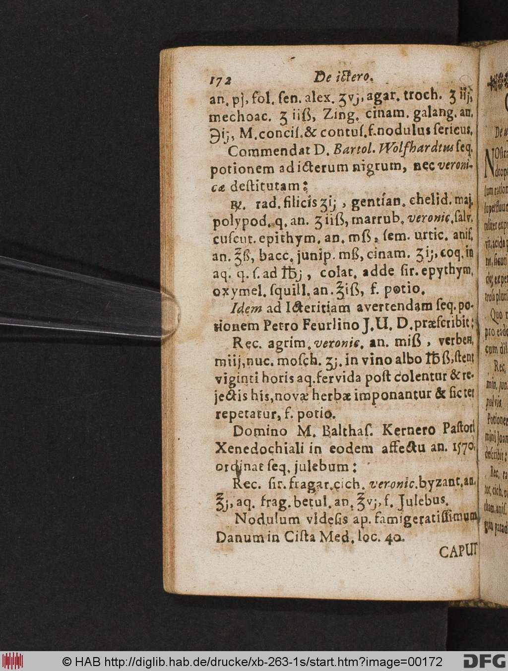 http://diglib.hab.de/drucke/xb-263-1s/00172.jpg