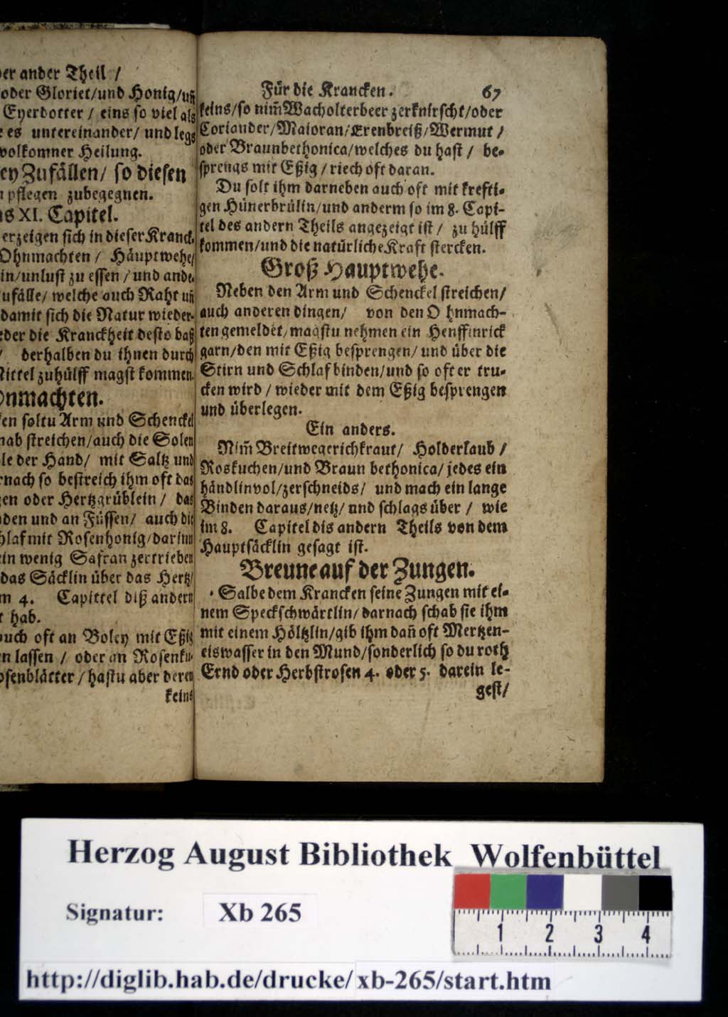 http://diglib.hab.de/drucke/xb-265/00076.jpg