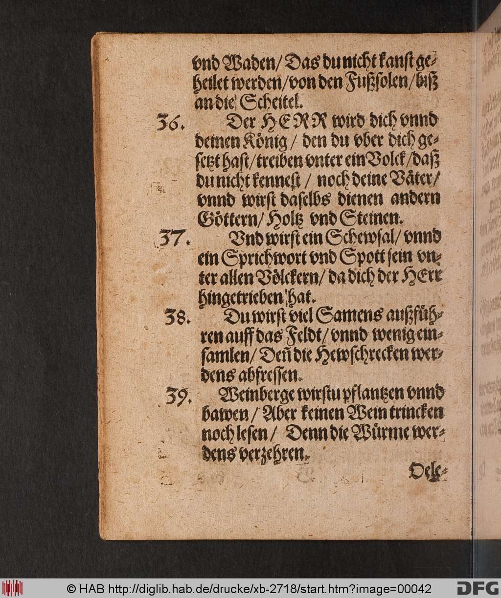 http://diglib.hab.de/drucke/xb-2718/00042.jpg