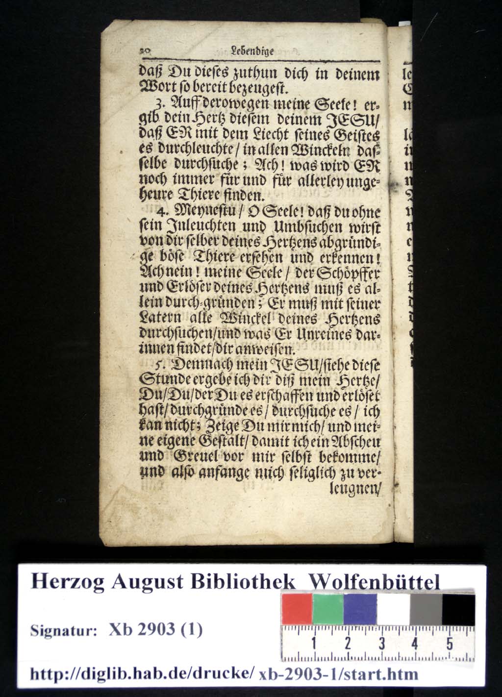 http://diglib.hab.de/drucke/xb-2903-1/00025.jpg