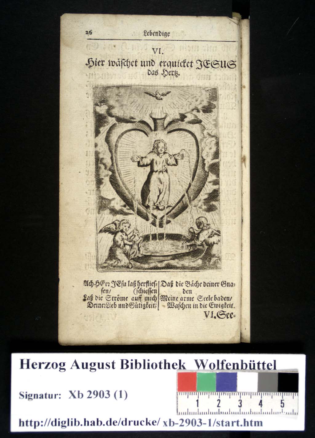 http://diglib.hab.de/drucke/xb-2903-1/00031.jpg