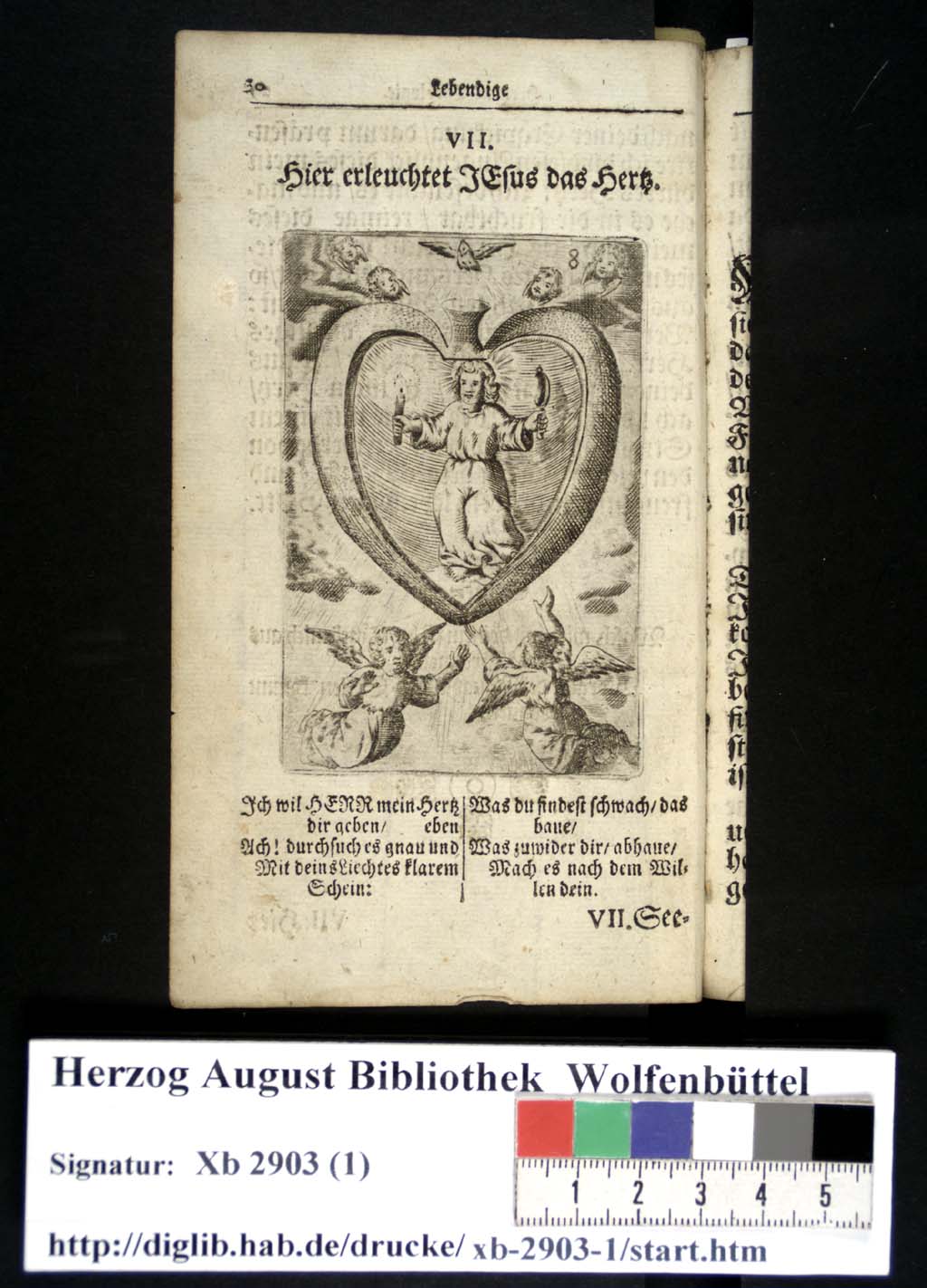 http://diglib.hab.de/drucke/xb-2903-1/00035.jpg