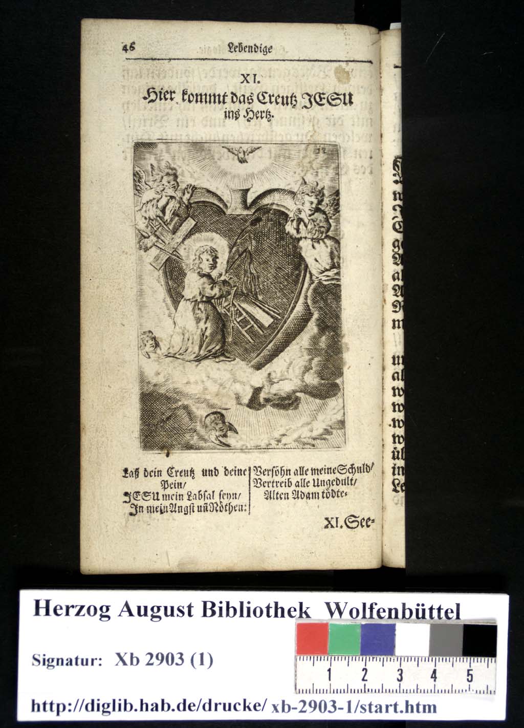 http://diglib.hab.de/drucke/xb-2903-1/00051.jpg