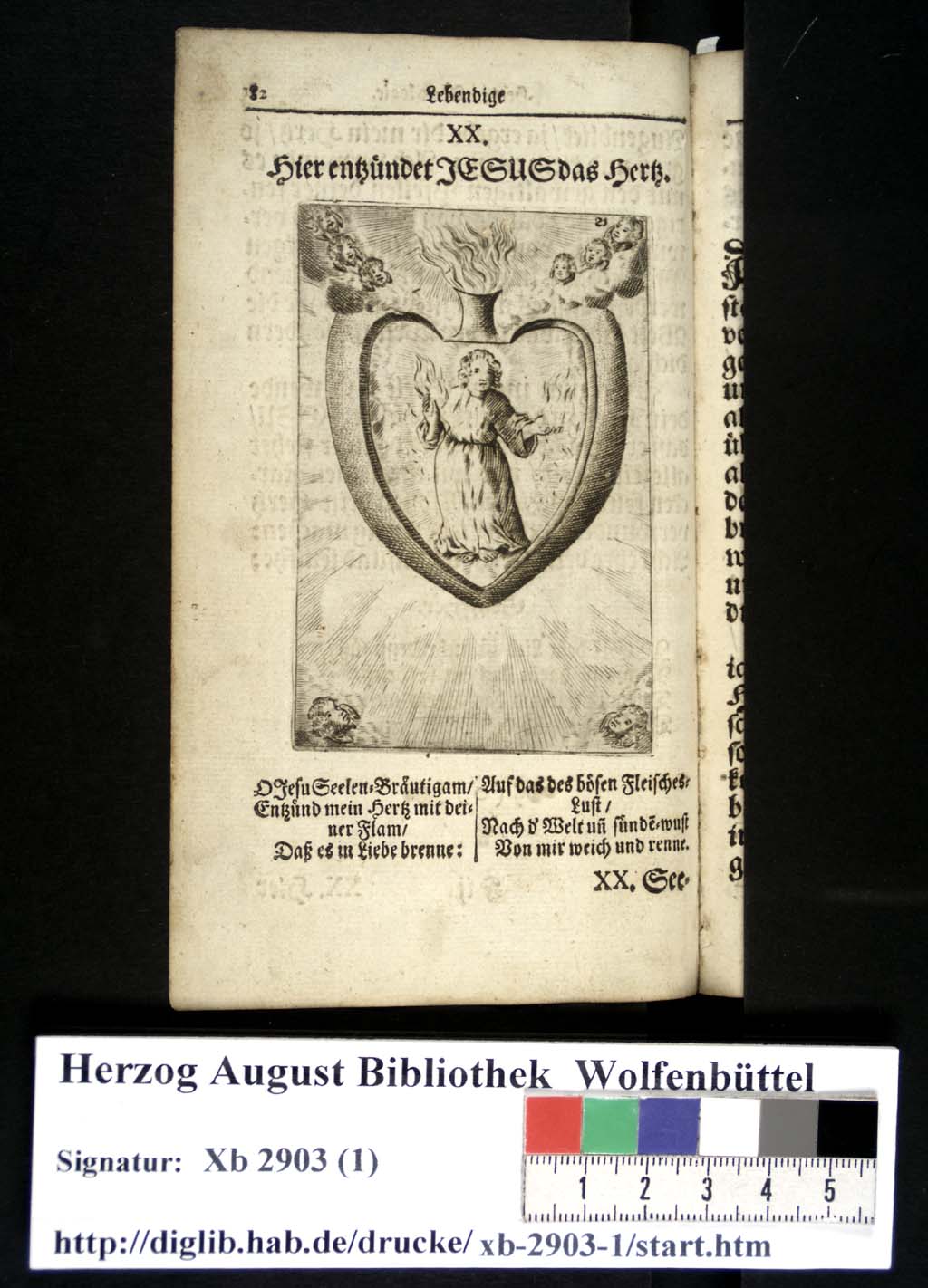 http://diglib.hab.de/drucke/xb-2903-1/00087.jpg