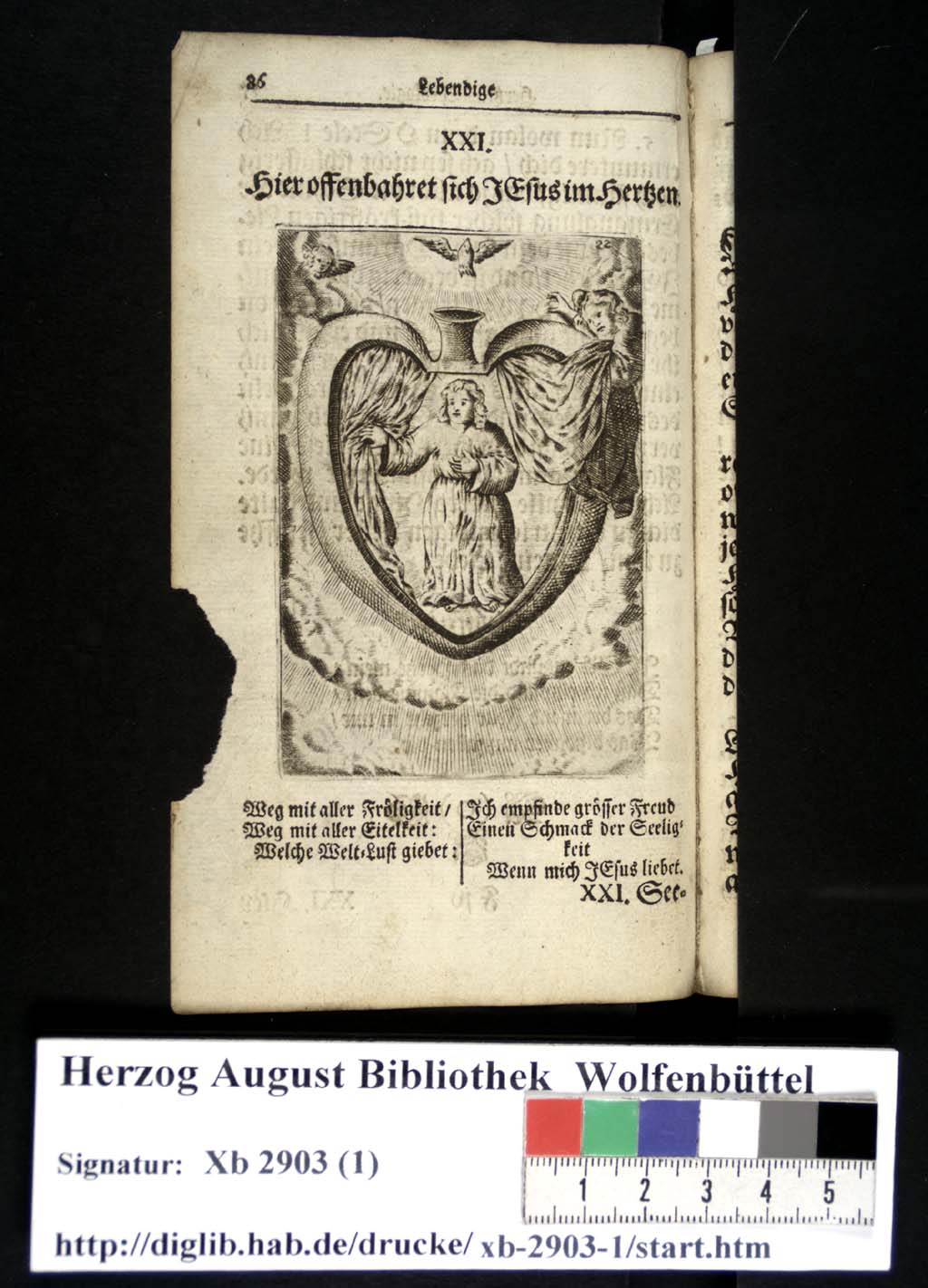 http://diglib.hab.de/drucke/xb-2903-1/00091.jpg