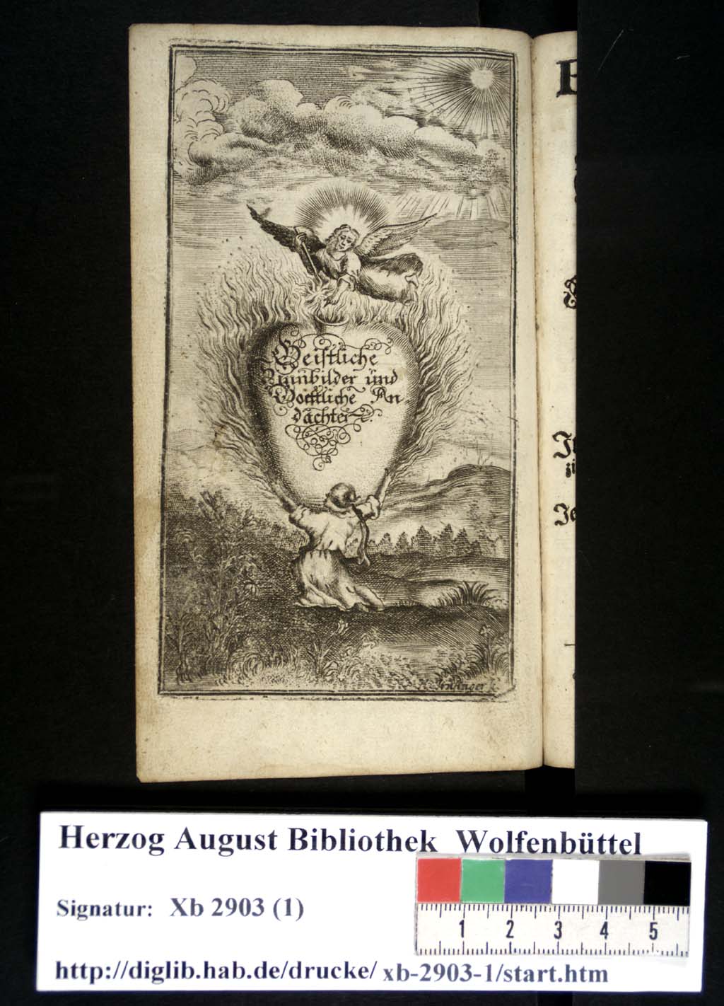 http://diglib.hab.de/drucke/xb-2903-2/00000.jpg
