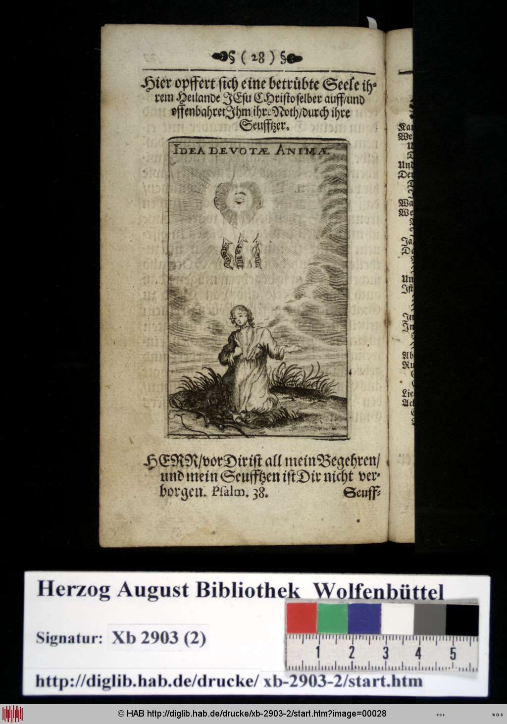 http://diglib.hab.de/drucke/xb-2903-2/00028.jpg