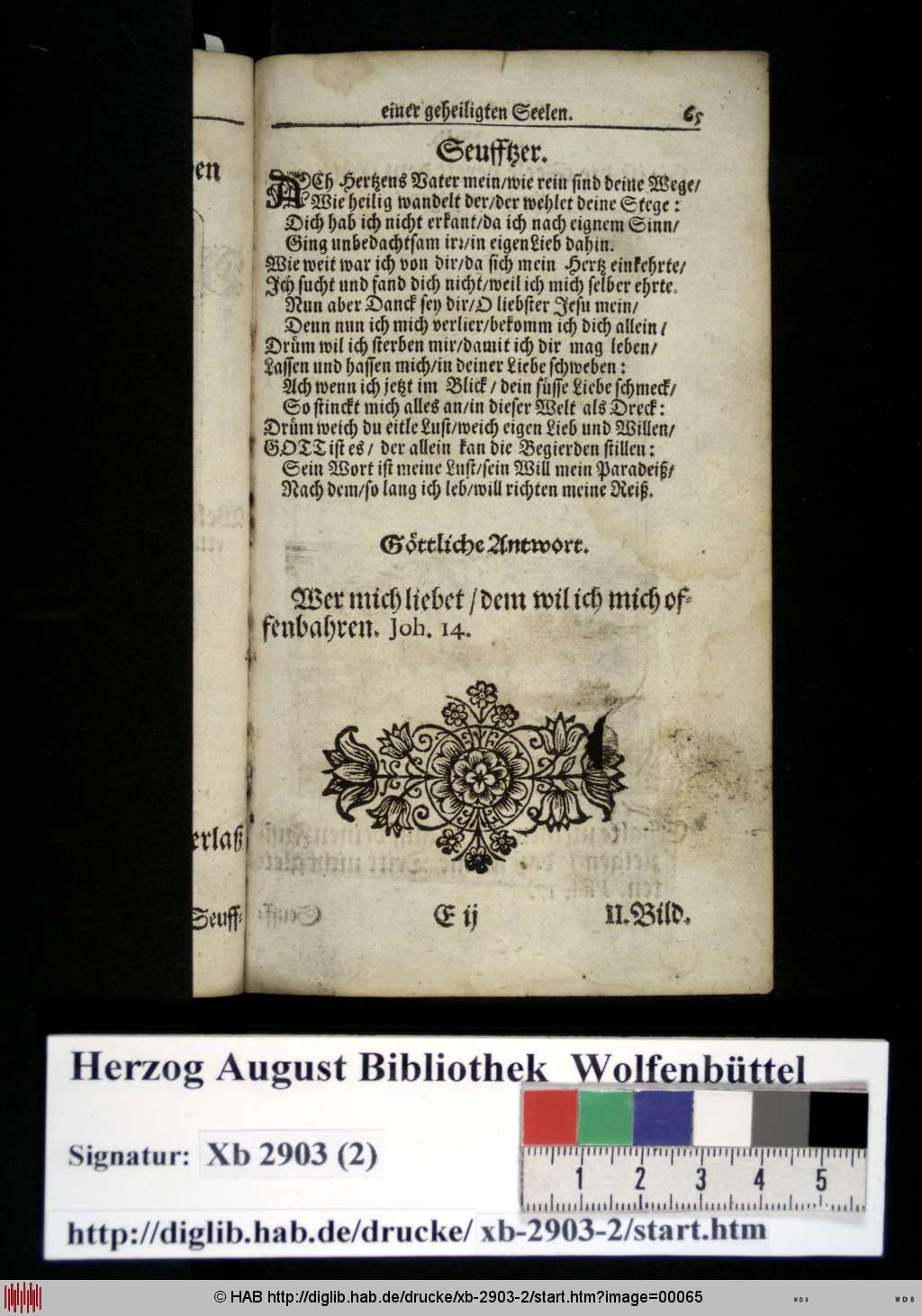 http://diglib.hab.de/drucke/xb-2903-2/00065.jpg