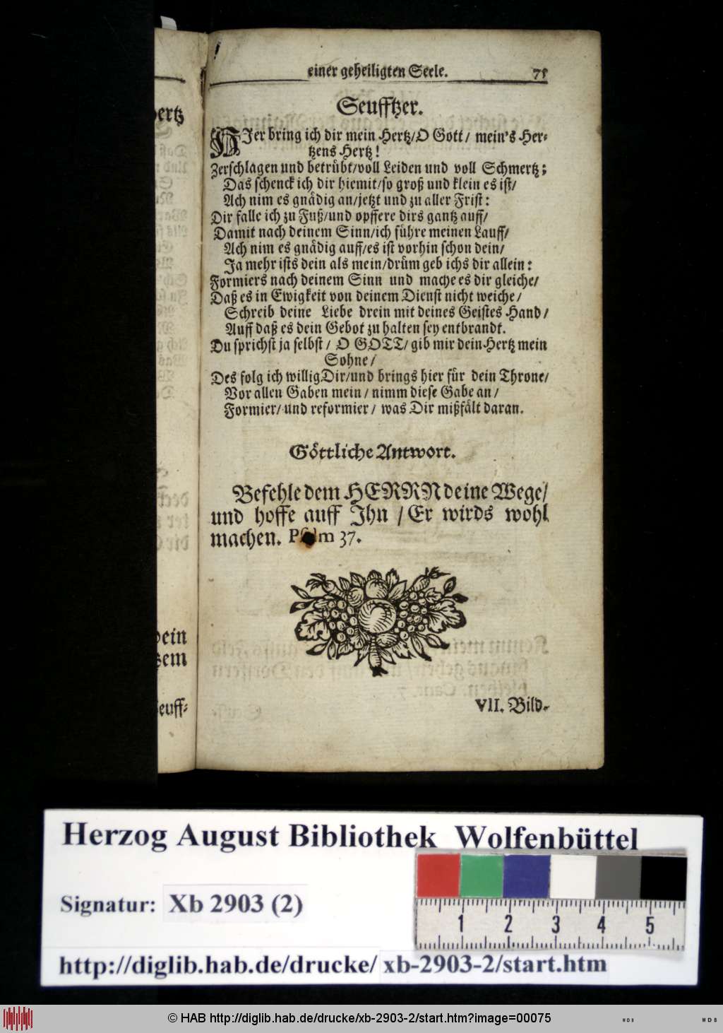 http://diglib.hab.de/drucke/xb-2903-2/00075.jpg