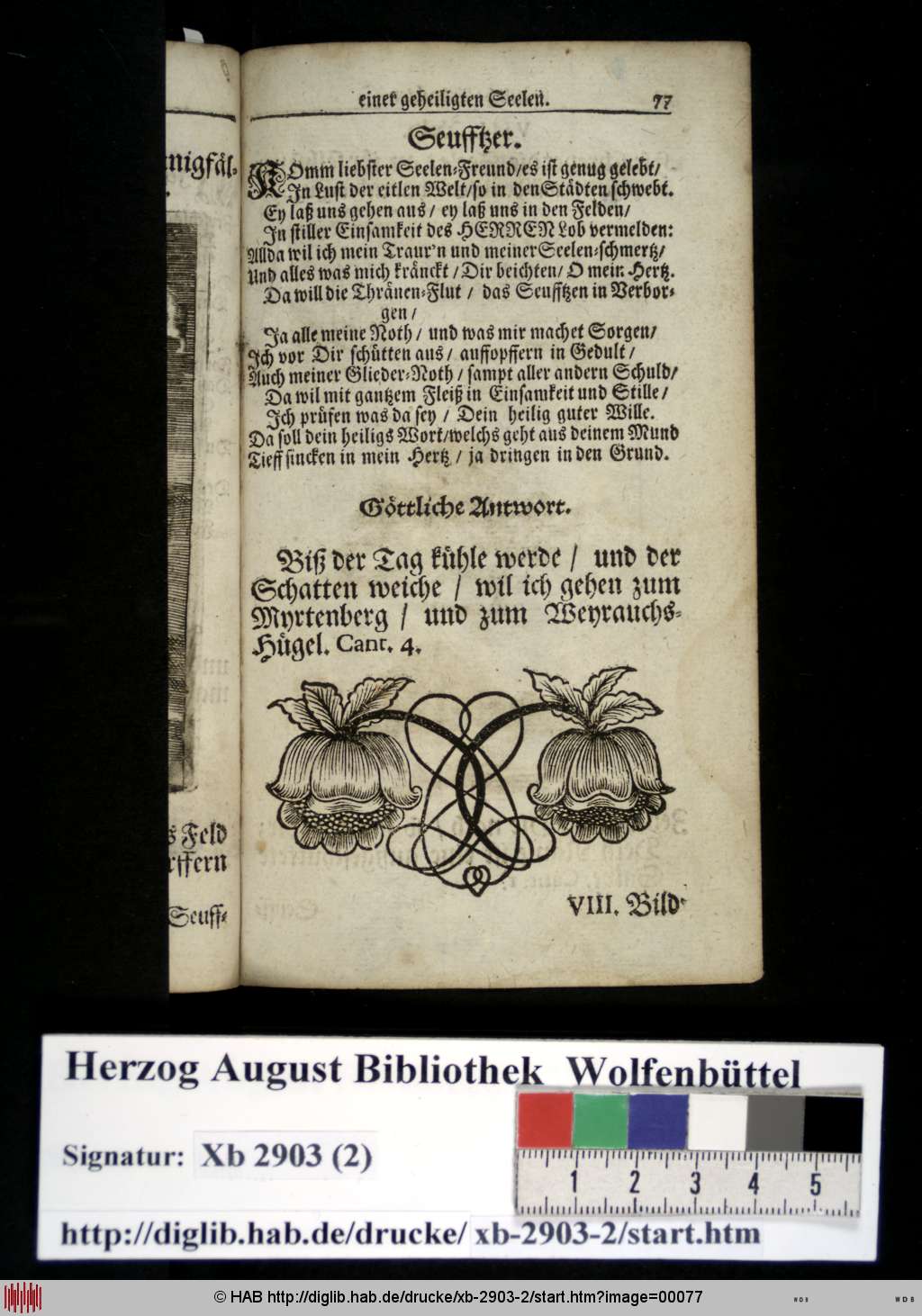 http://diglib.hab.de/drucke/xb-2903-2/00077.jpg