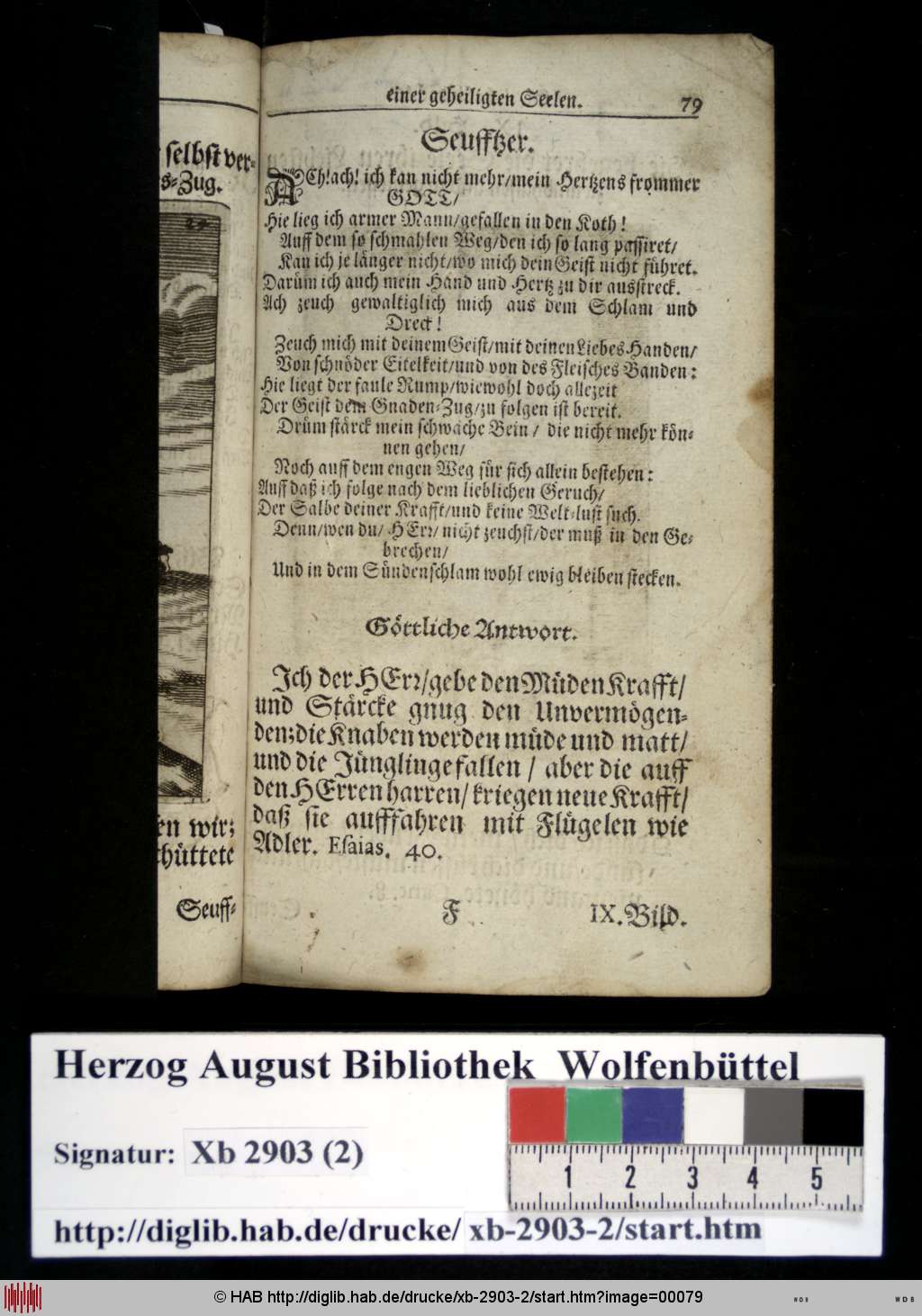 http://diglib.hab.de/drucke/xb-2903-2/00079.jpg