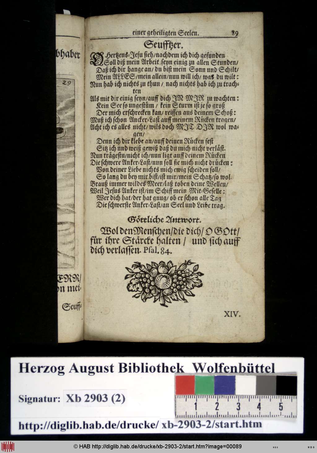 http://diglib.hab.de/drucke/xb-2903-2/00089.jpg