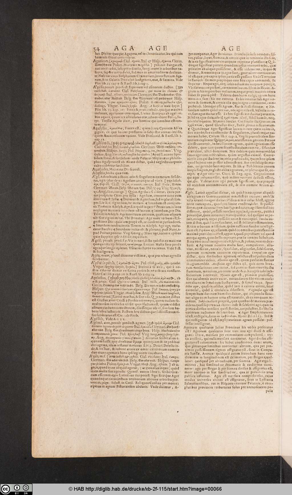 http://diglib.hab.de/drucke/xb-2f-115/00066.jpg