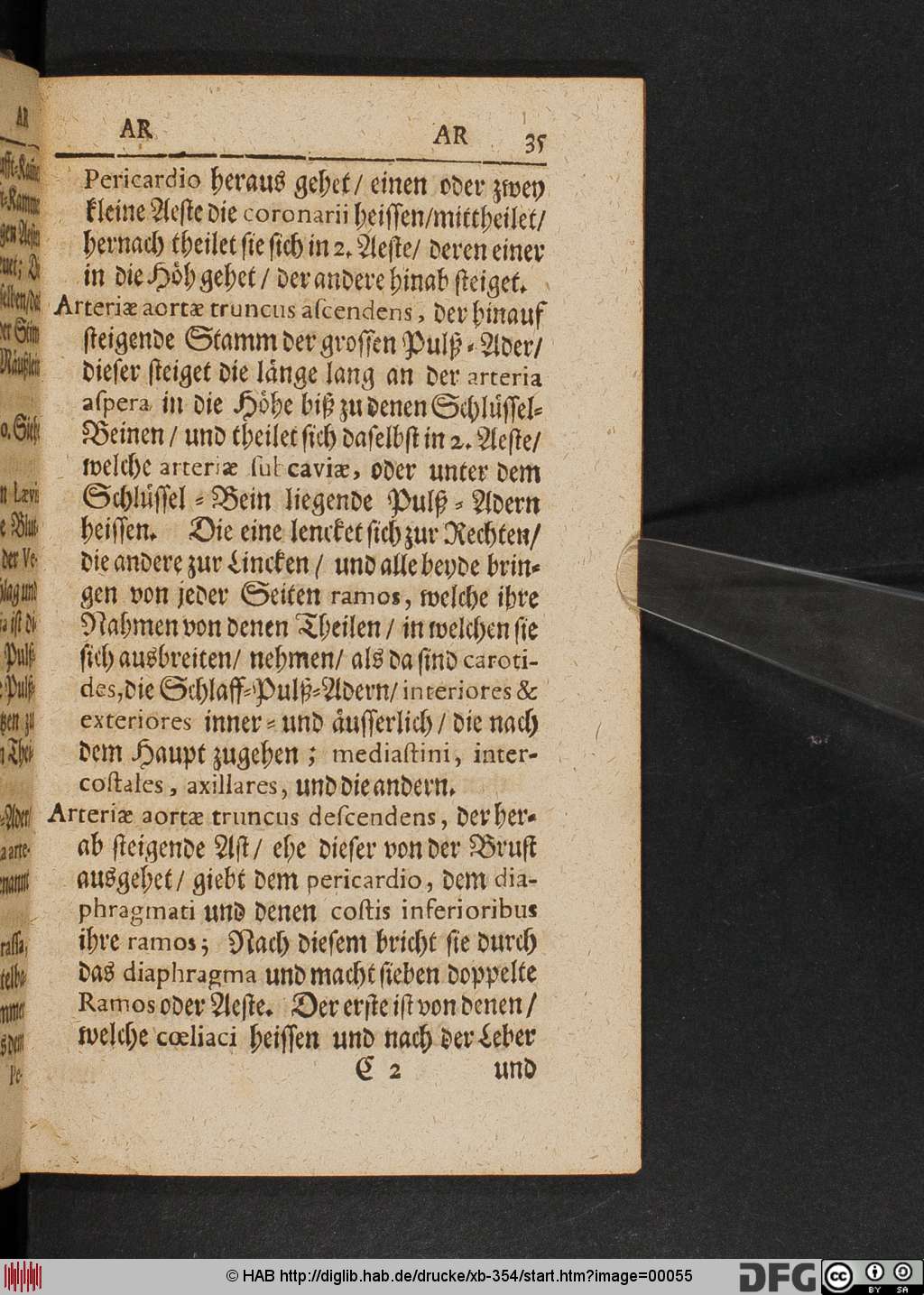 http://diglib.hab.de/drucke/xb-354/00055.jpg