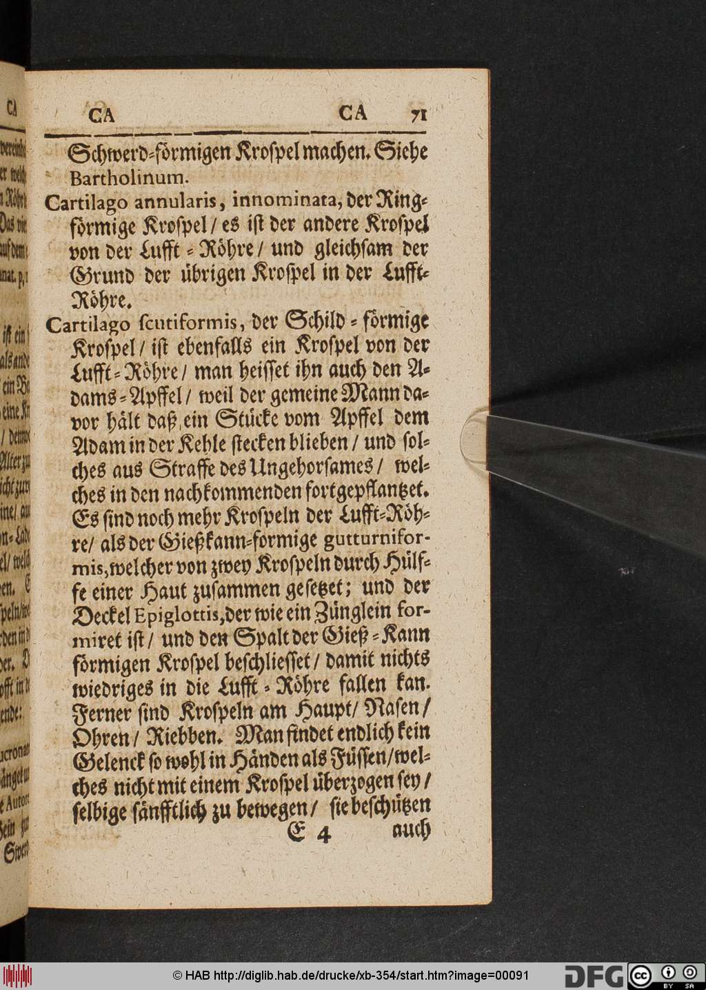 http://diglib.hab.de/drucke/xb-354/00091.jpg