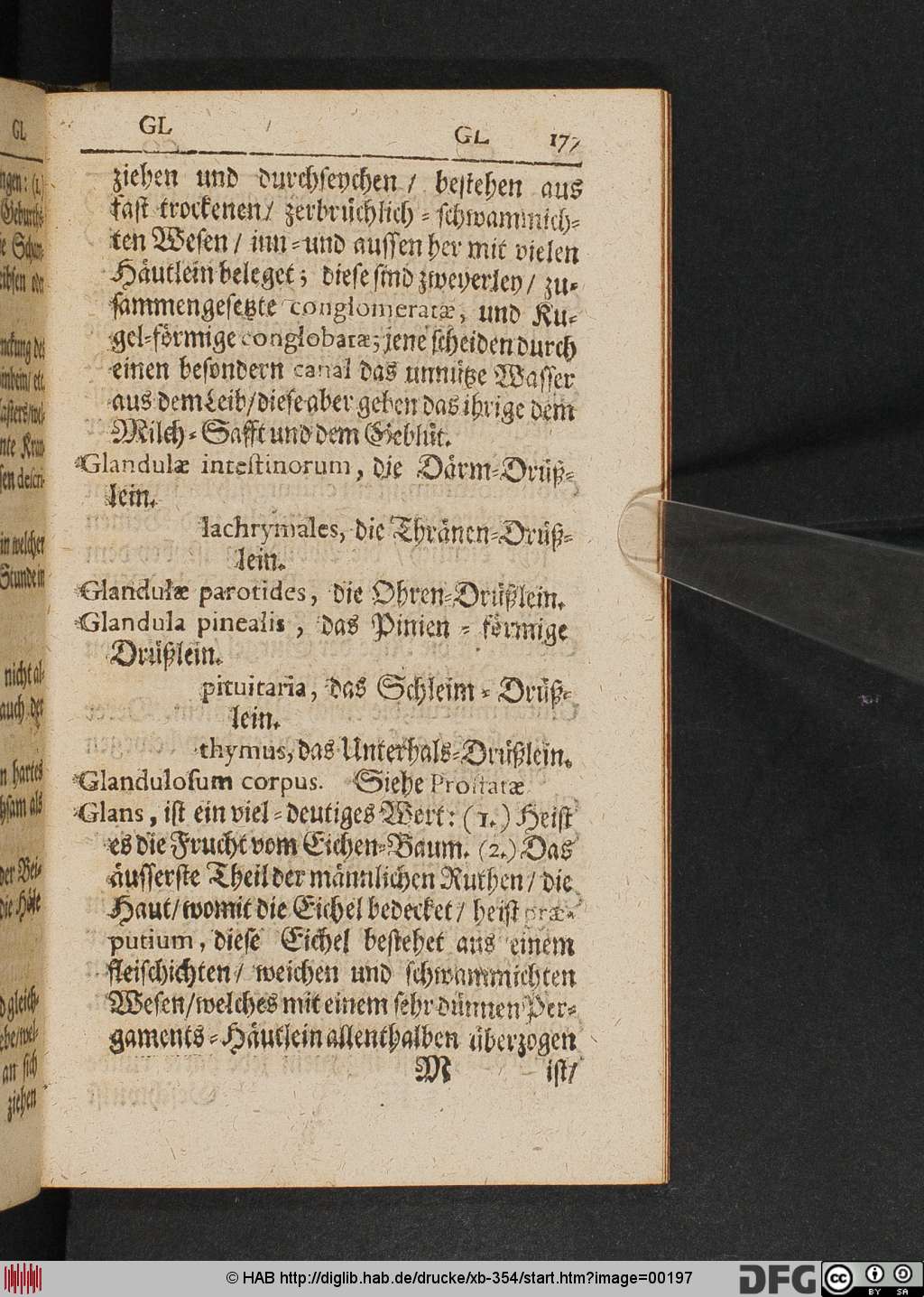 http://diglib.hab.de/drucke/xb-354/00197.jpg