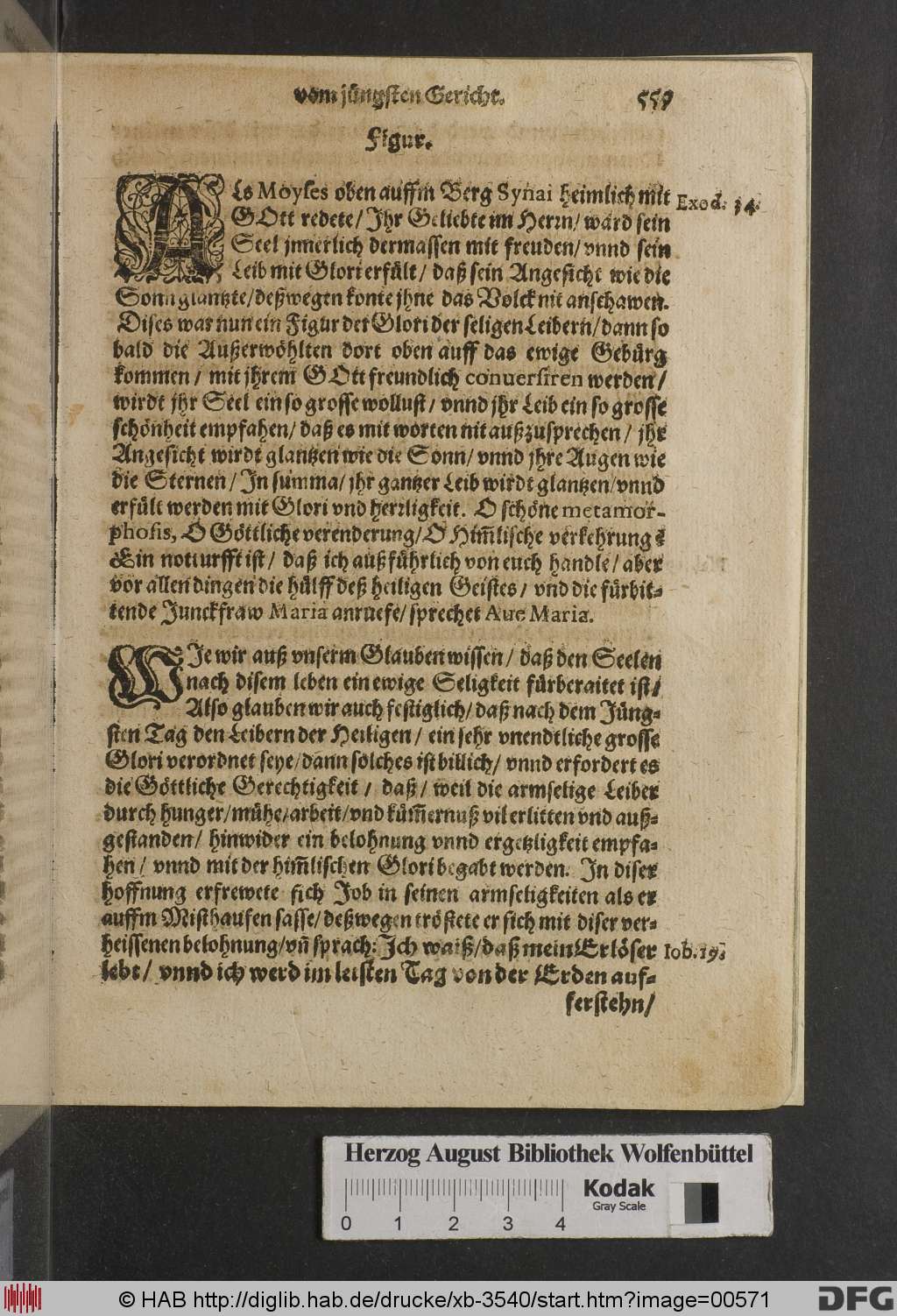 http://diglib.hab.de/drucke/xb-3540/00571.jpg