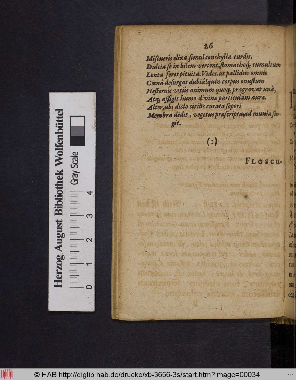 http://diglib.hab.de/drucke/xb-3656-3s/00034.jpg