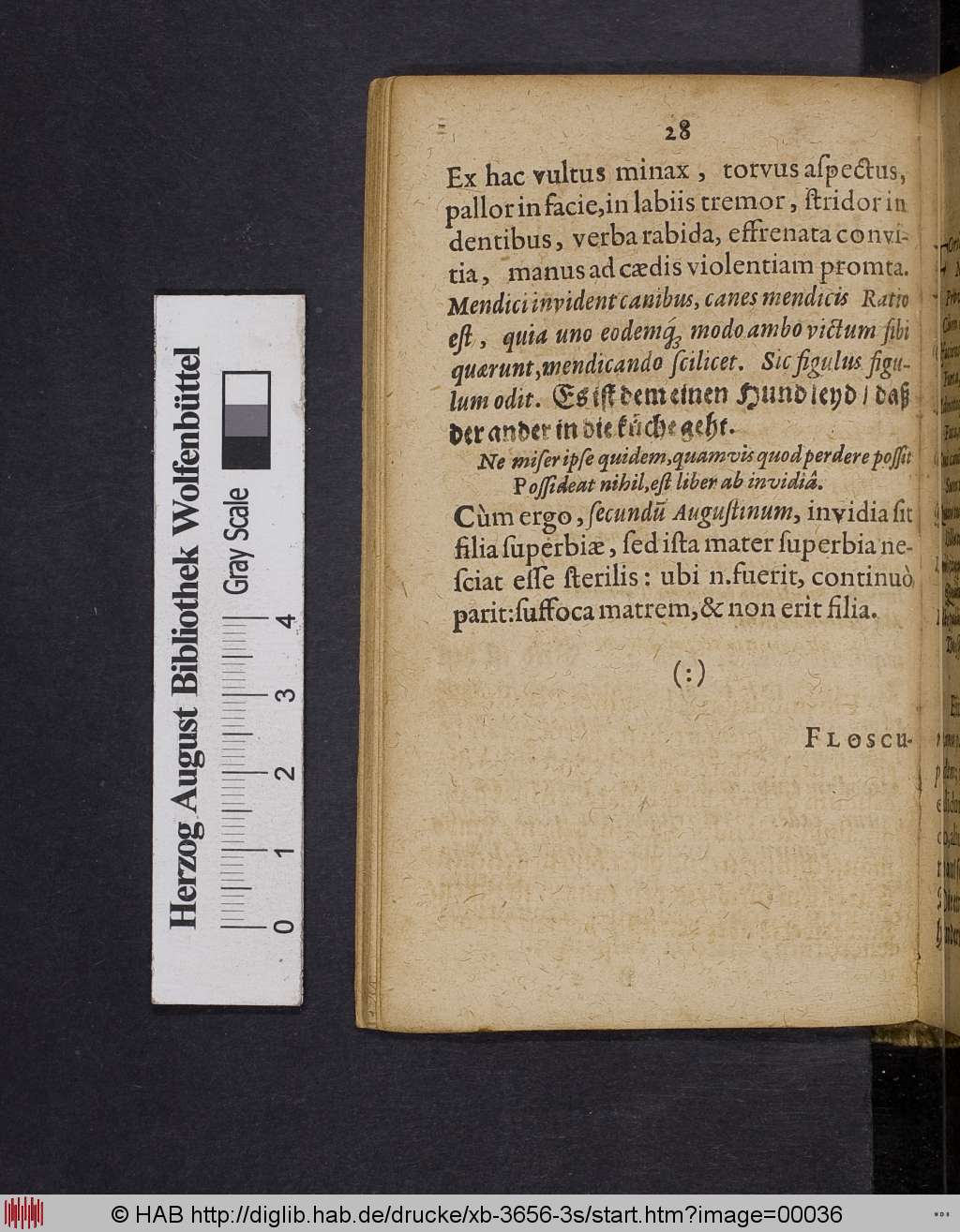 http://diglib.hab.de/drucke/xb-3656-3s/00036.jpg