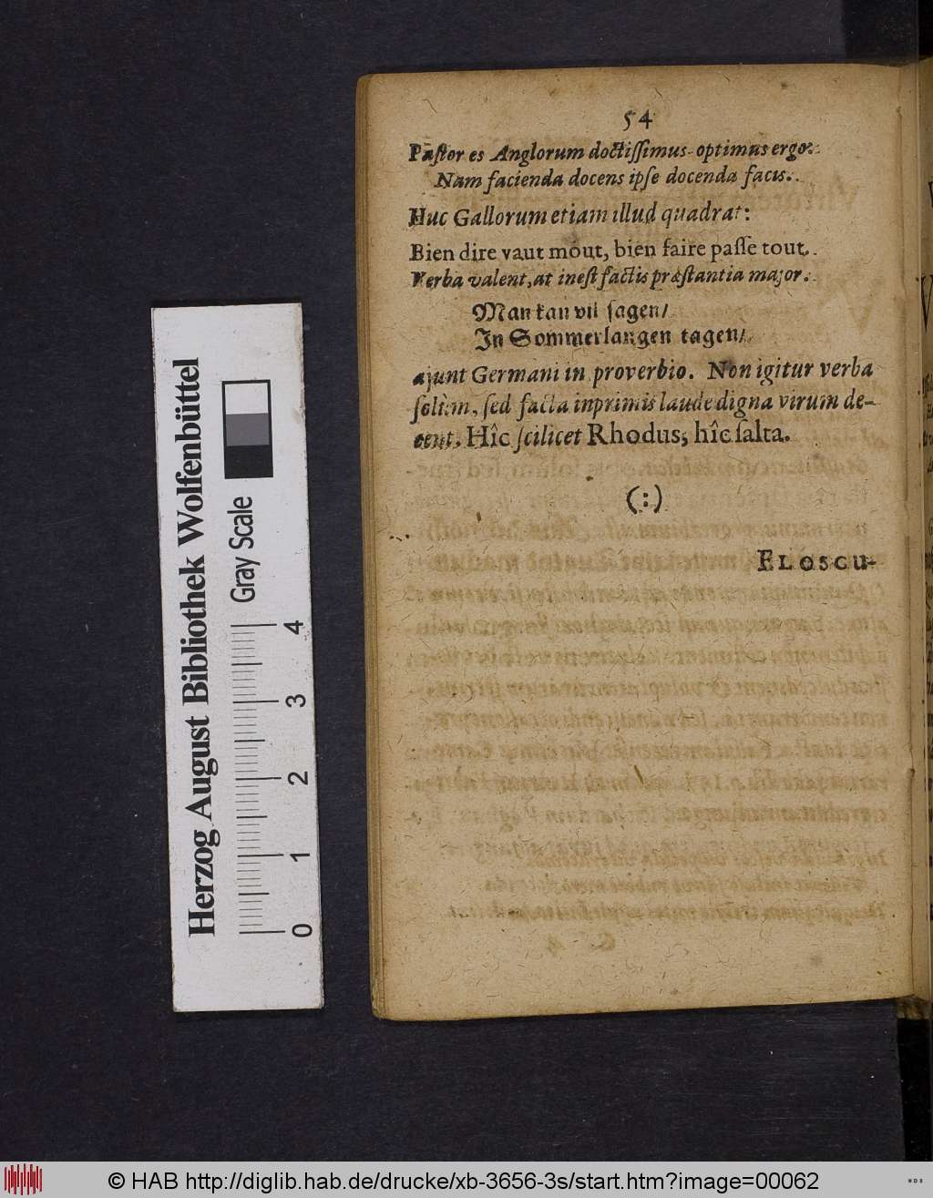 http://diglib.hab.de/drucke/xb-3656-3s/00062.jpg