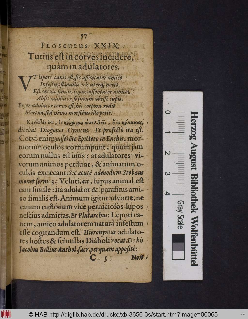 http://diglib.hab.de/drucke/xb-3656-3s/00065.jpg