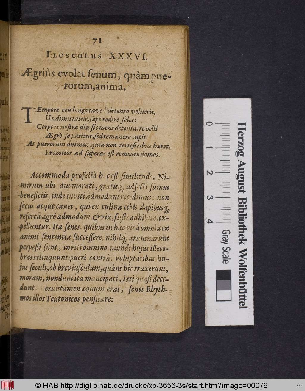 http://diglib.hab.de/drucke/xb-3656-3s/00079.jpg