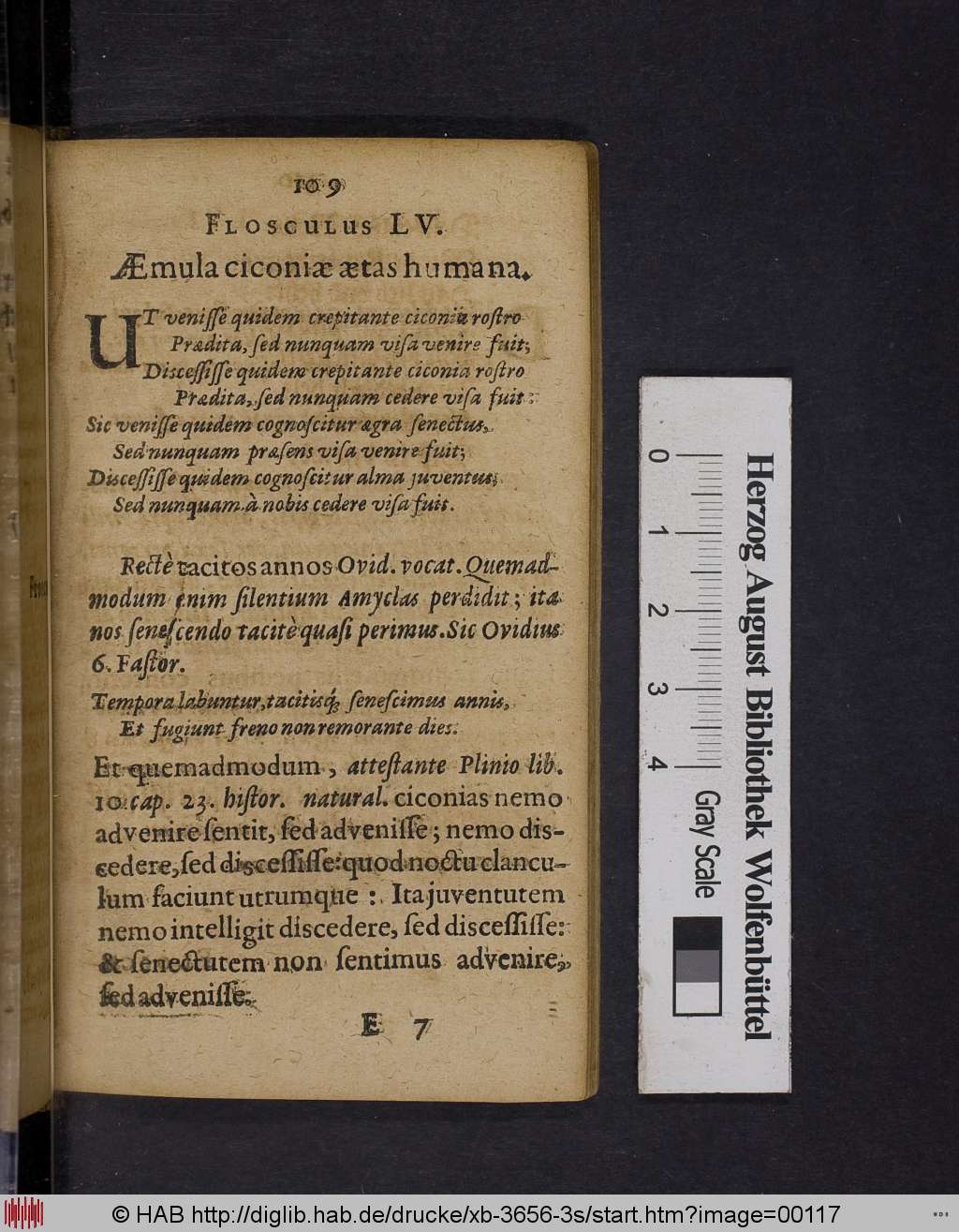 http://diglib.hab.de/drucke/xb-3656-3s/00117.jpg