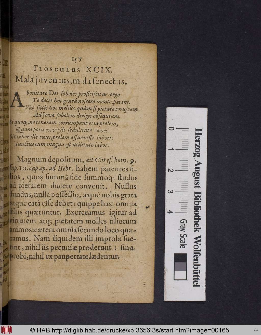 http://diglib.hab.de/drucke/xb-3656-3s/00165.jpg