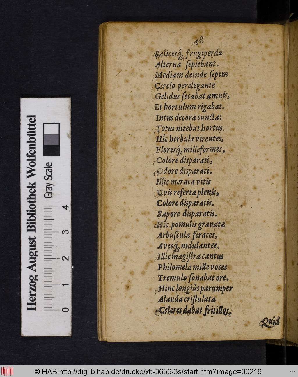 http://diglib.hab.de/drucke/xb-3656-3s/00216.jpg