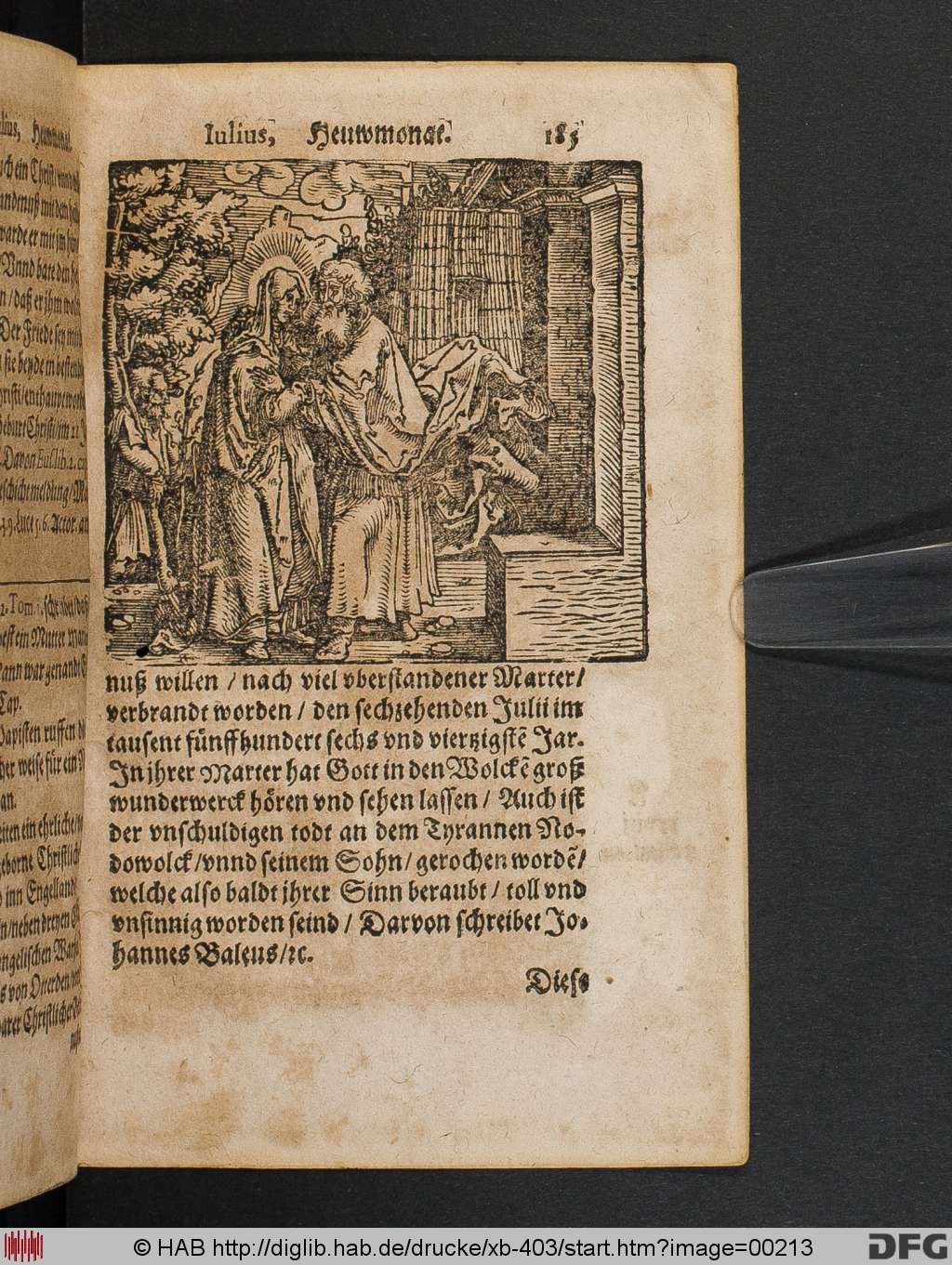 http://diglib.hab.de/drucke/xb-403/00213.jpg