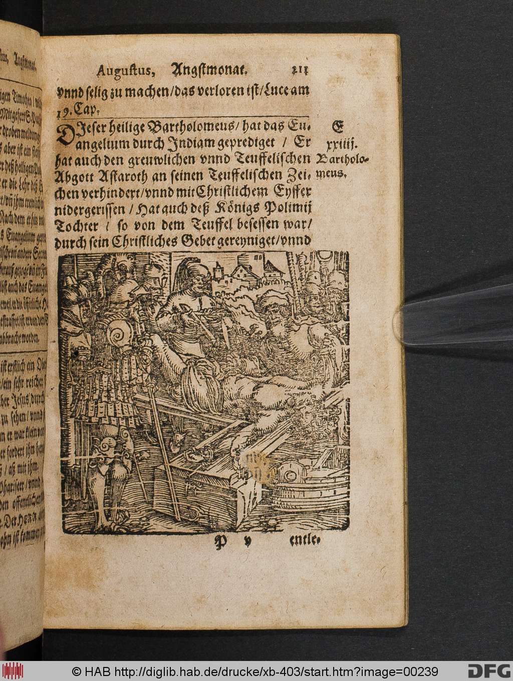 http://diglib.hab.de/drucke/xb-403/00239.jpg
