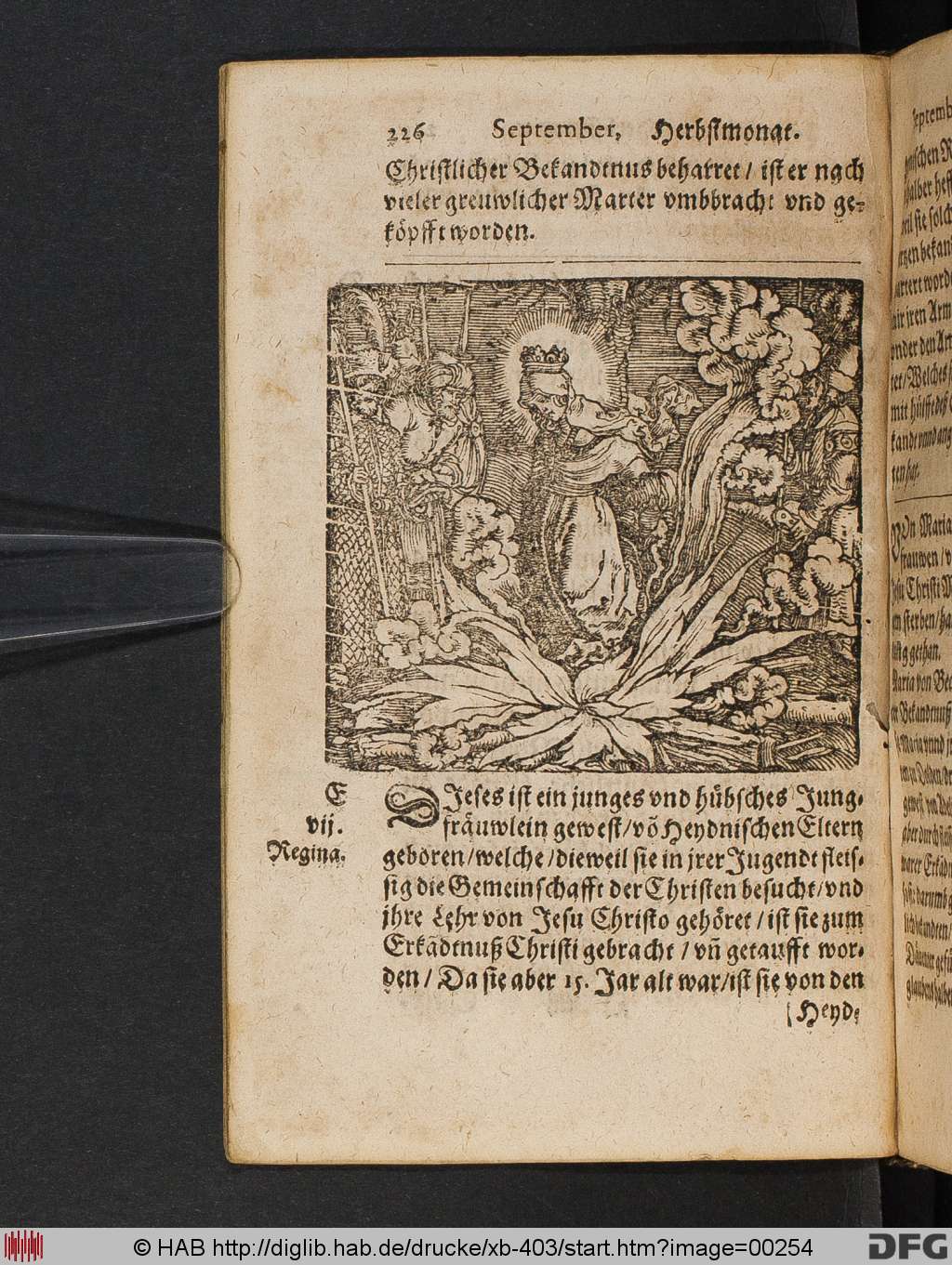 http://diglib.hab.de/drucke/xb-403/00254.jpg