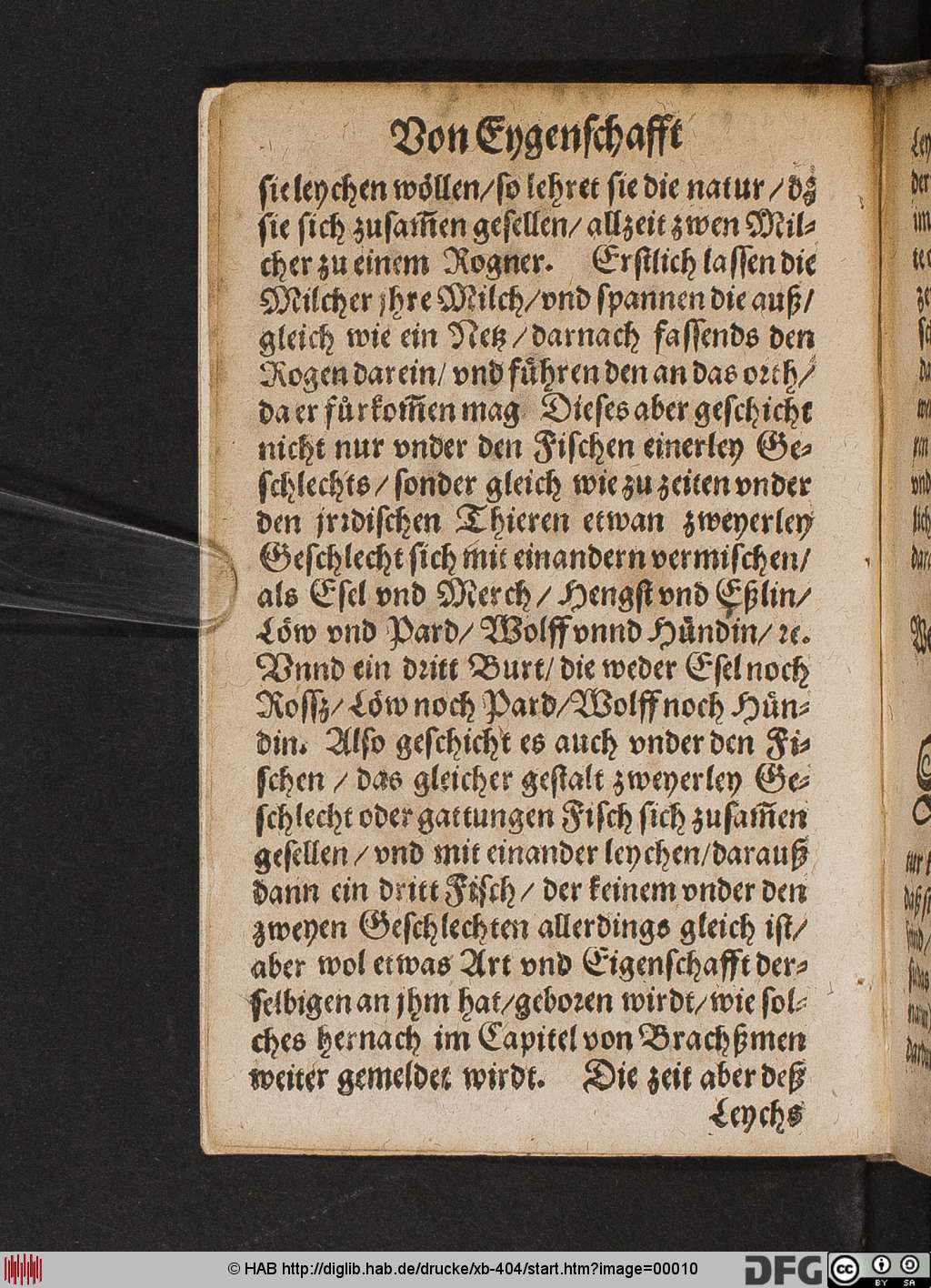 http://diglib.hab.de/drucke/xb-404/00010.jpg