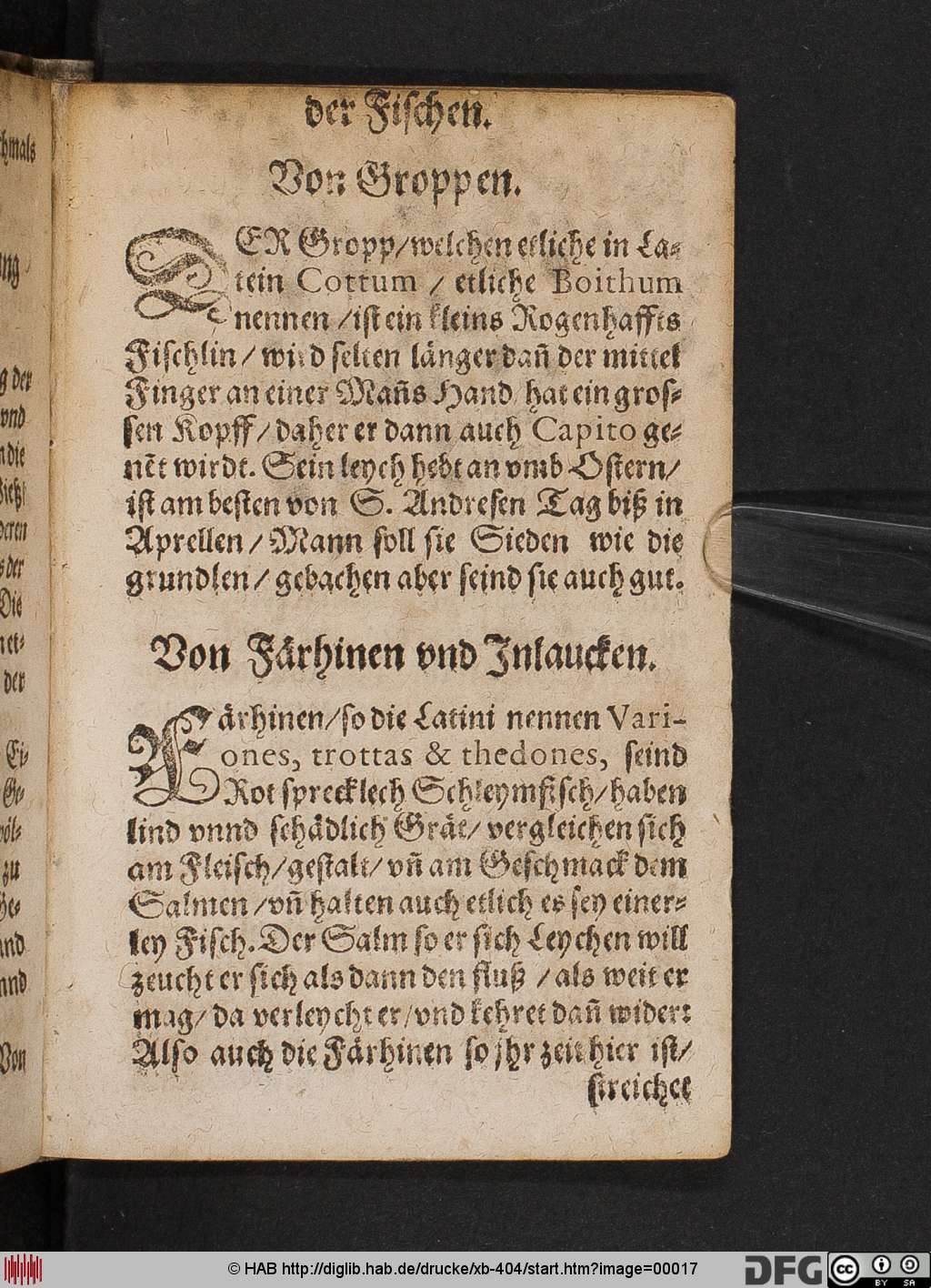 http://diglib.hab.de/drucke/xb-404/00017.jpg