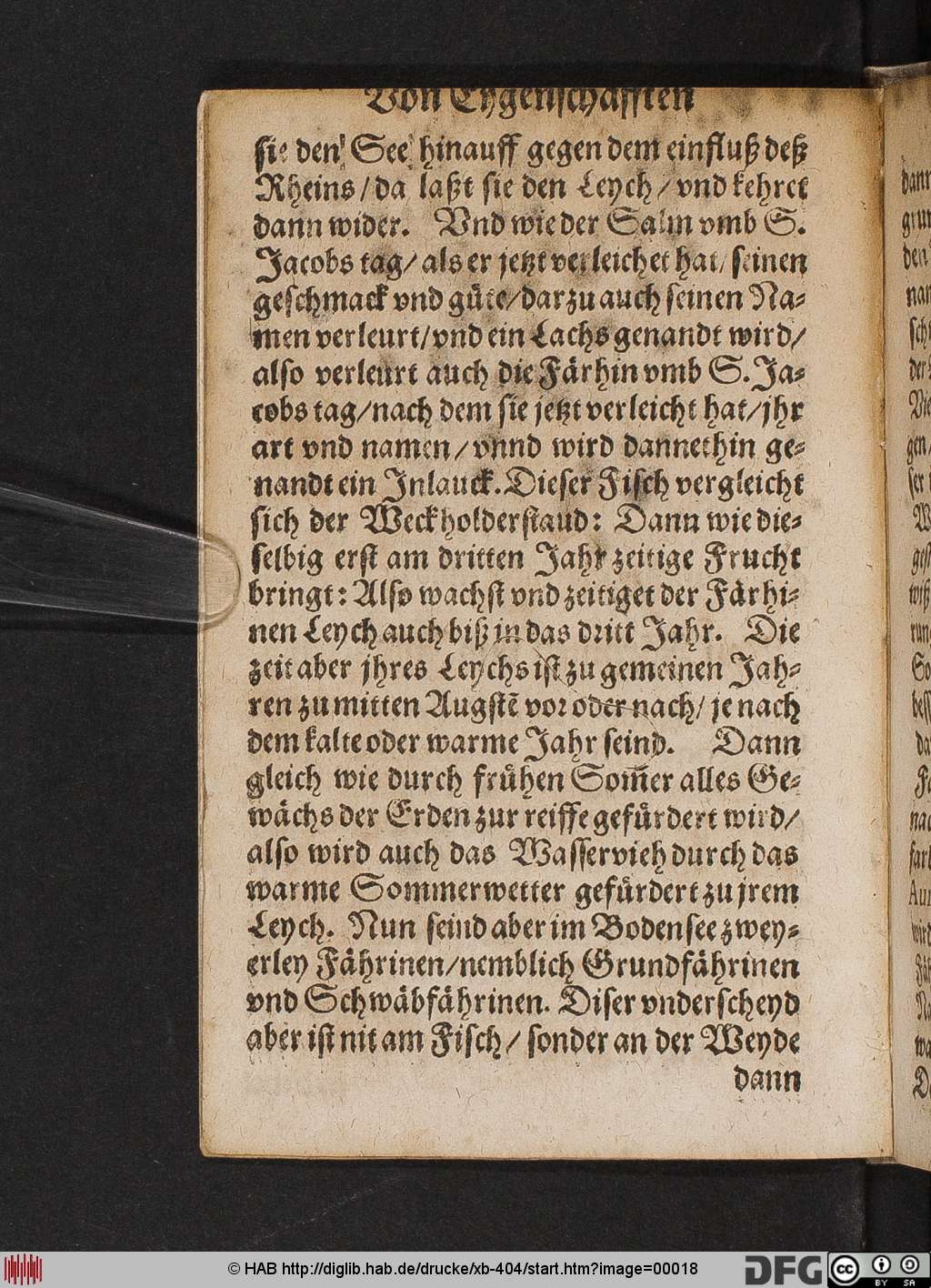http://diglib.hab.de/drucke/xb-404/00018.jpg