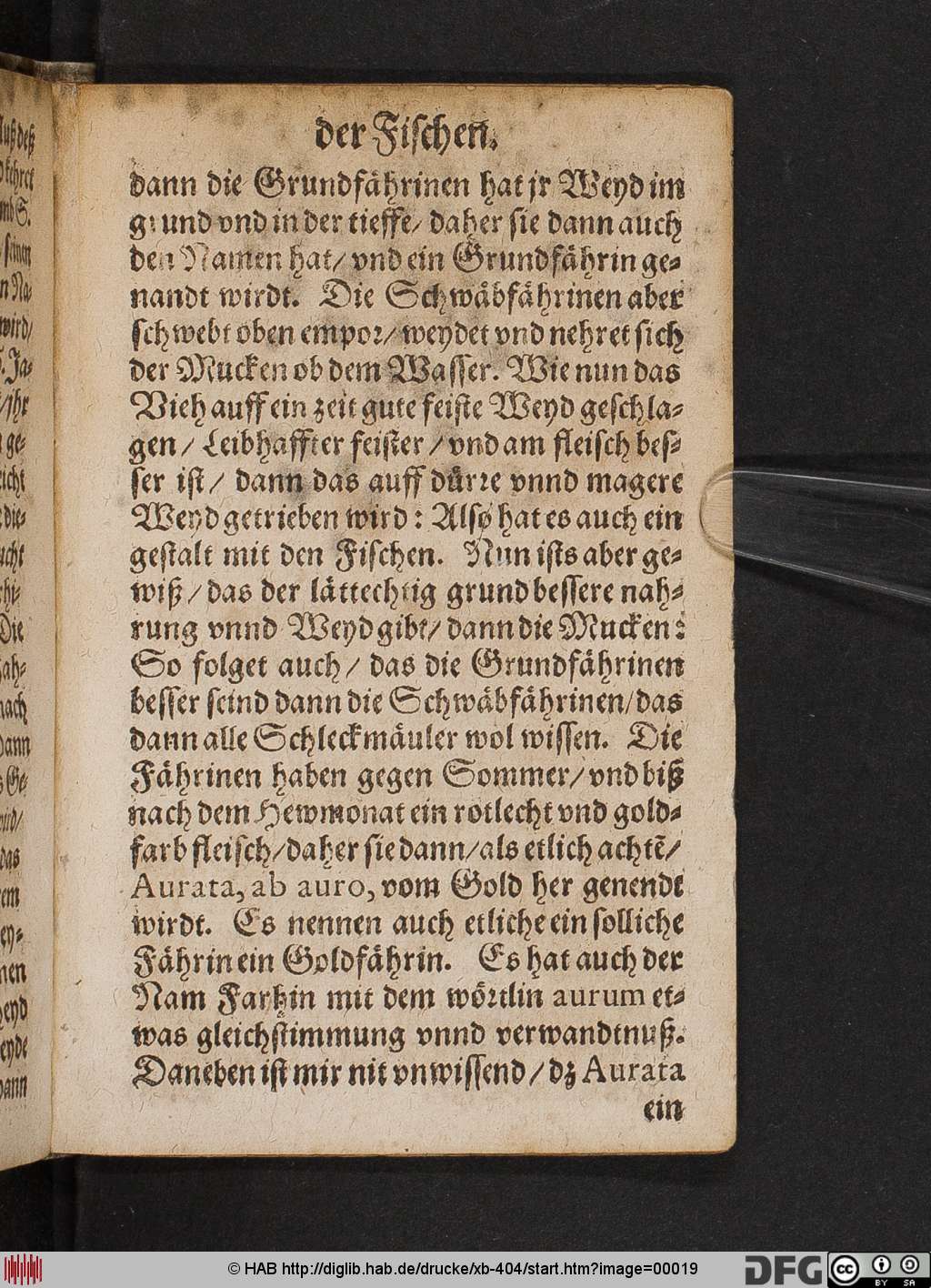 http://diglib.hab.de/drucke/xb-404/00019.jpg