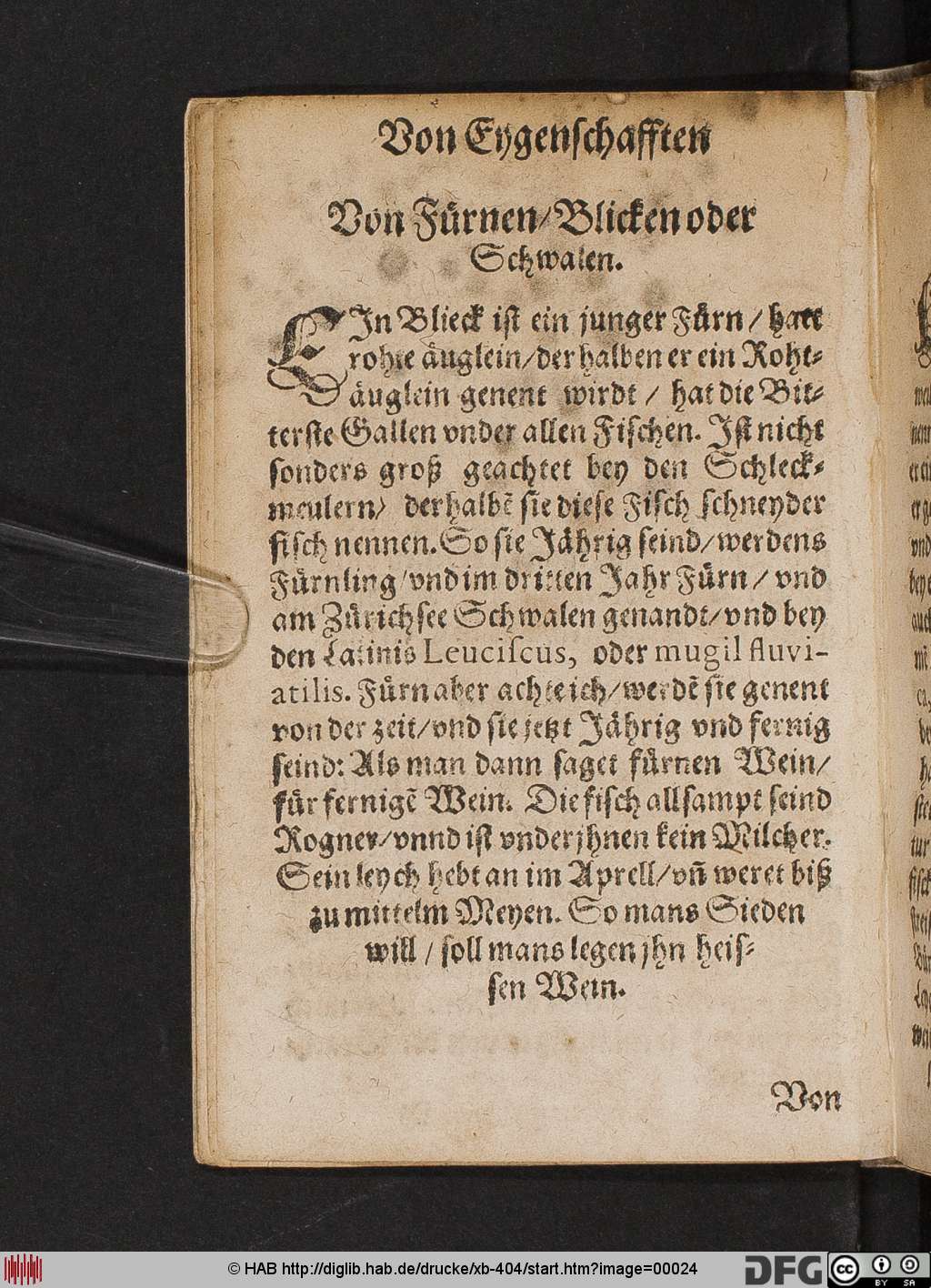 http://diglib.hab.de/drucke/xb-404/00024.jpg