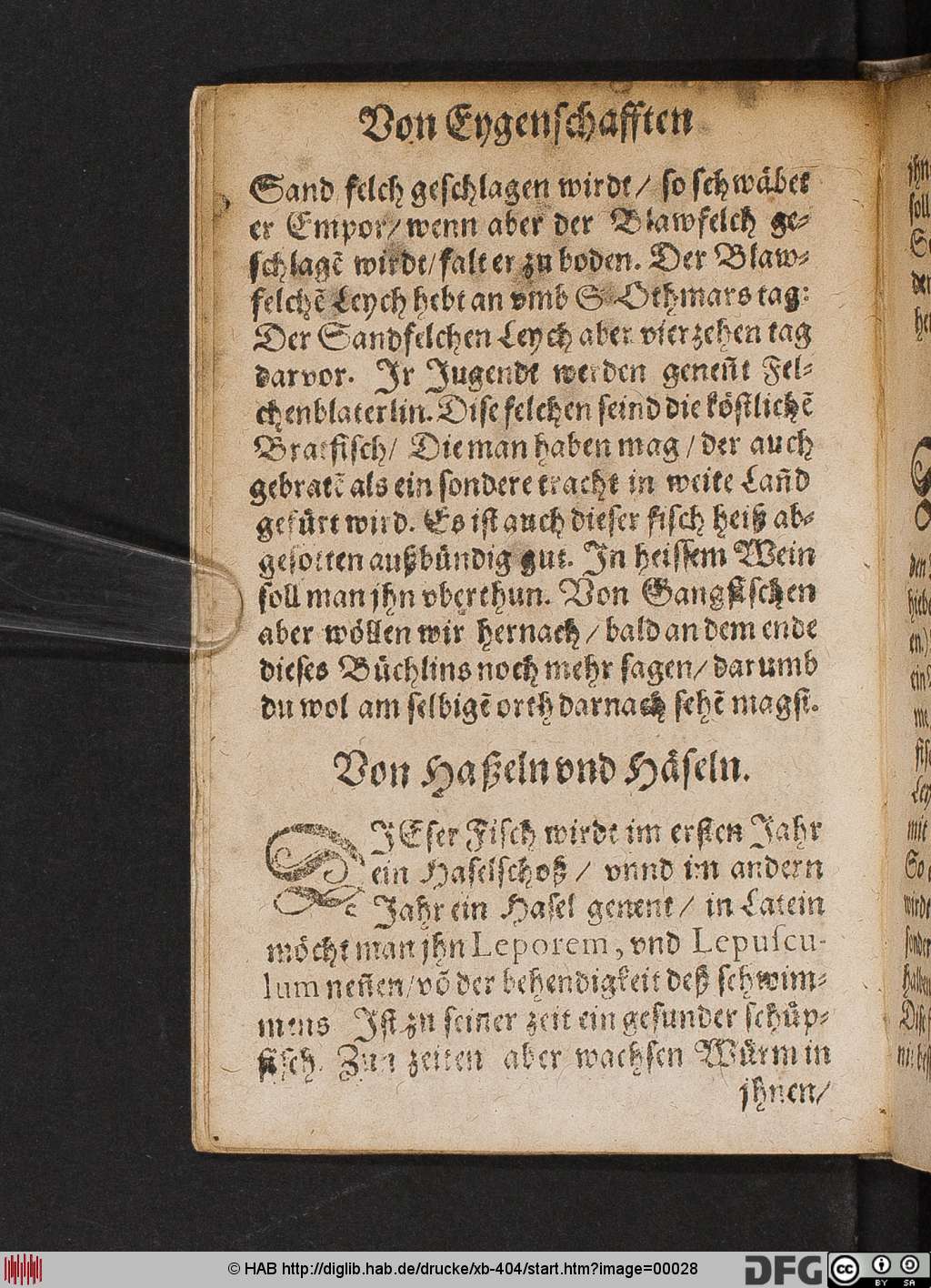 http://diglib.hab.de/drucke/xb-404/00028.jpg