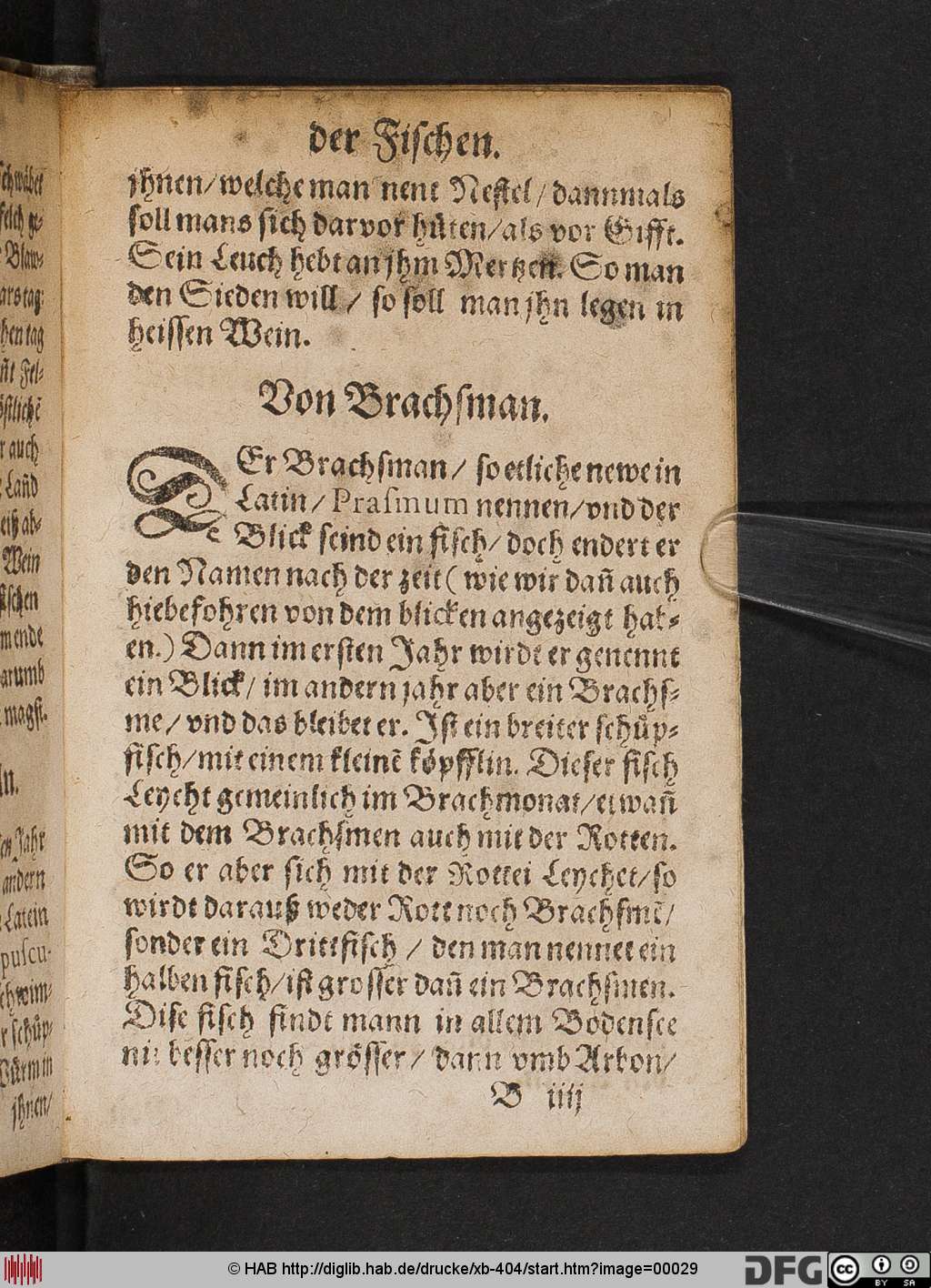http://diglib.hab.de/drucke/xb-404/00029.jpg