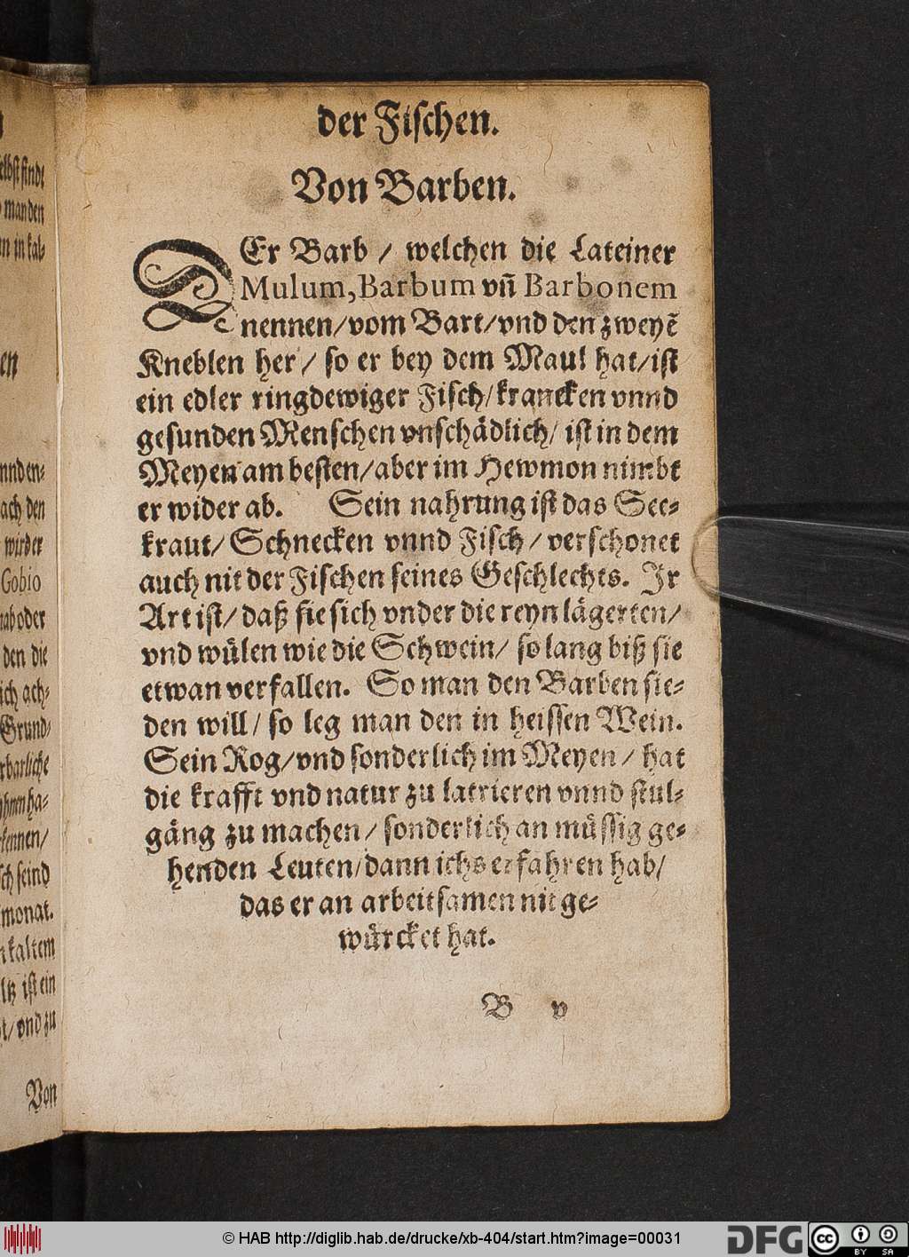 http://diglib.hab.de/drucke/xb-404/00031.jpg