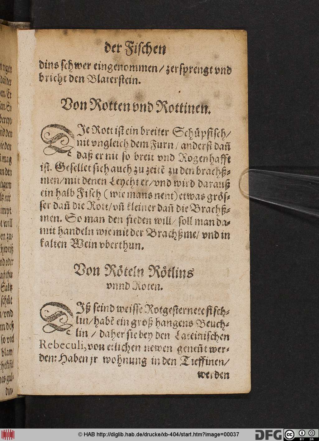 http://diglib.hab.de/drucke/xb-404/00037.jpg