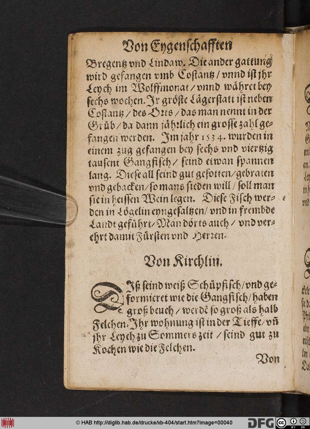 http://diglib.hab.de/drucke/xb-404/00040.jpg
