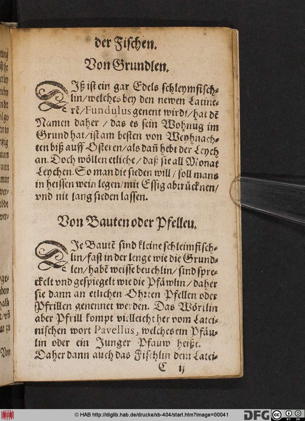 http://diglib.hab.de/drucke/xb-404/00041.jpg