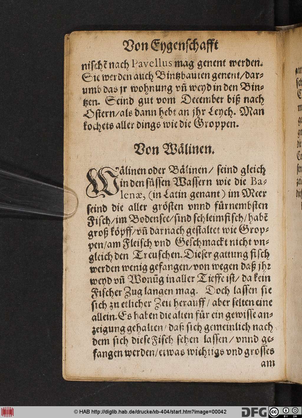http://diglib.hab.de/drucke/xb-404/00042.jpg