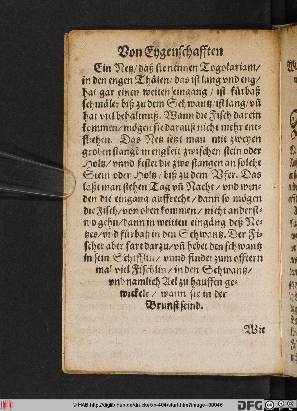 http://diglib.hab.de/drucke/xb-404/00046.jpg