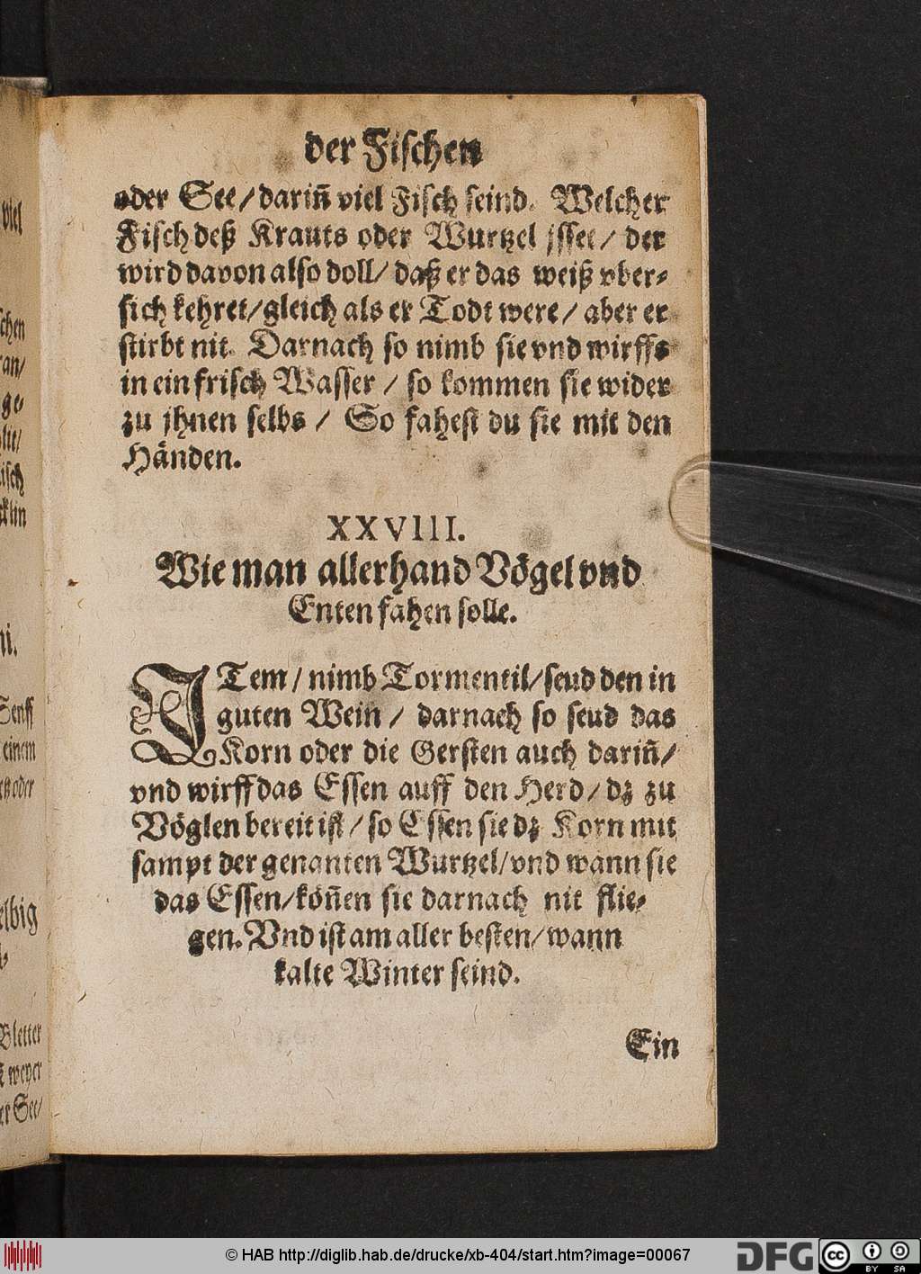 http://diglib.hab.de/drucke/xb-404/00067.jpg